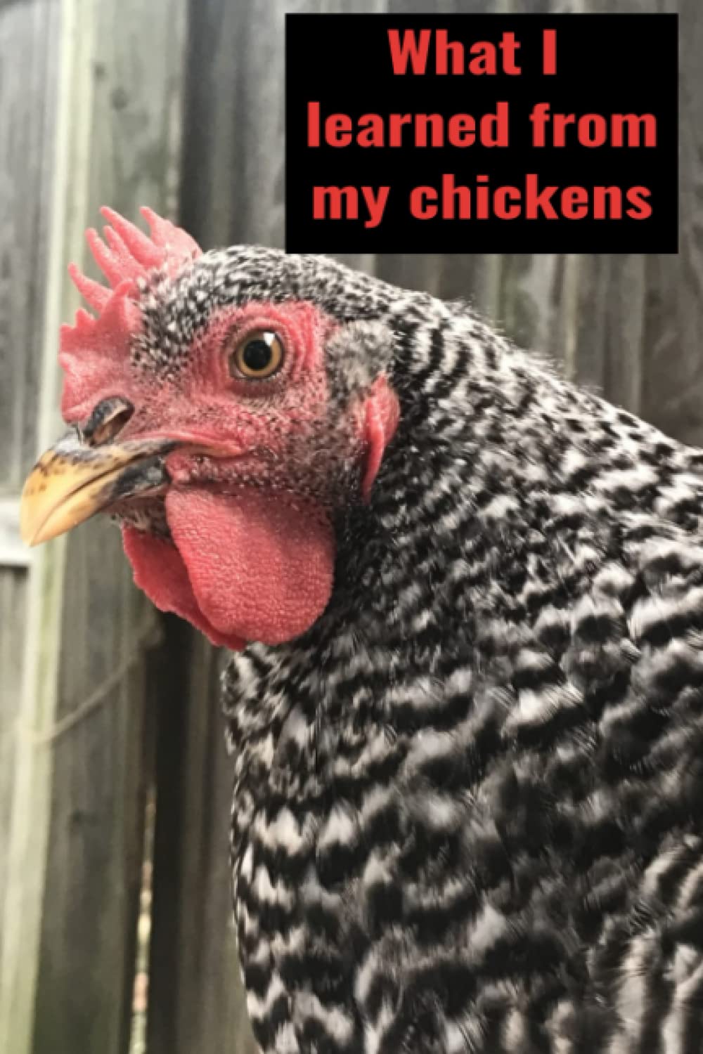 What I learned from my Chickens A cute comedic book with relatable