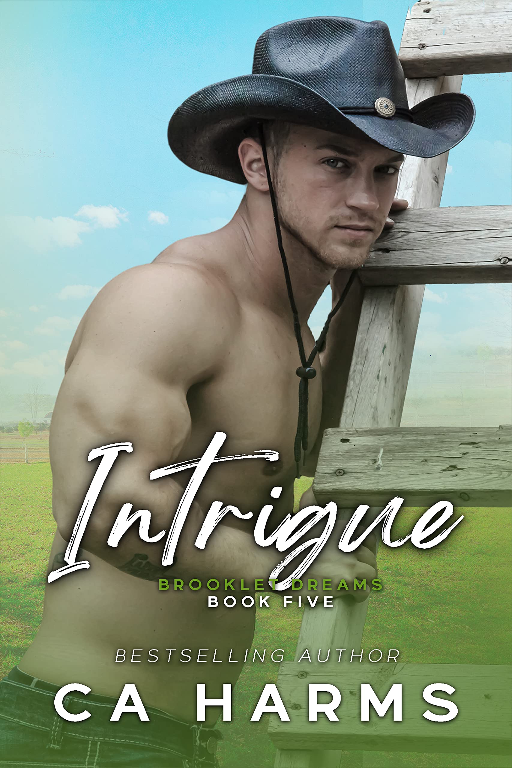 Intrigue book cover