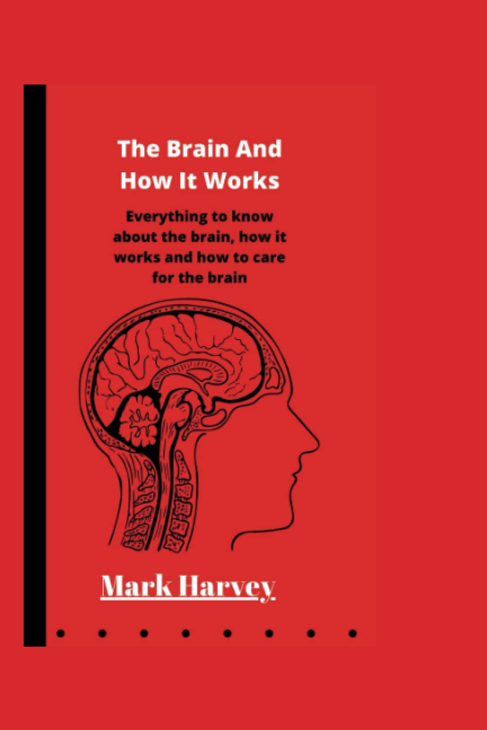 The Brain And How It Works Everything To Know About The Brain How It