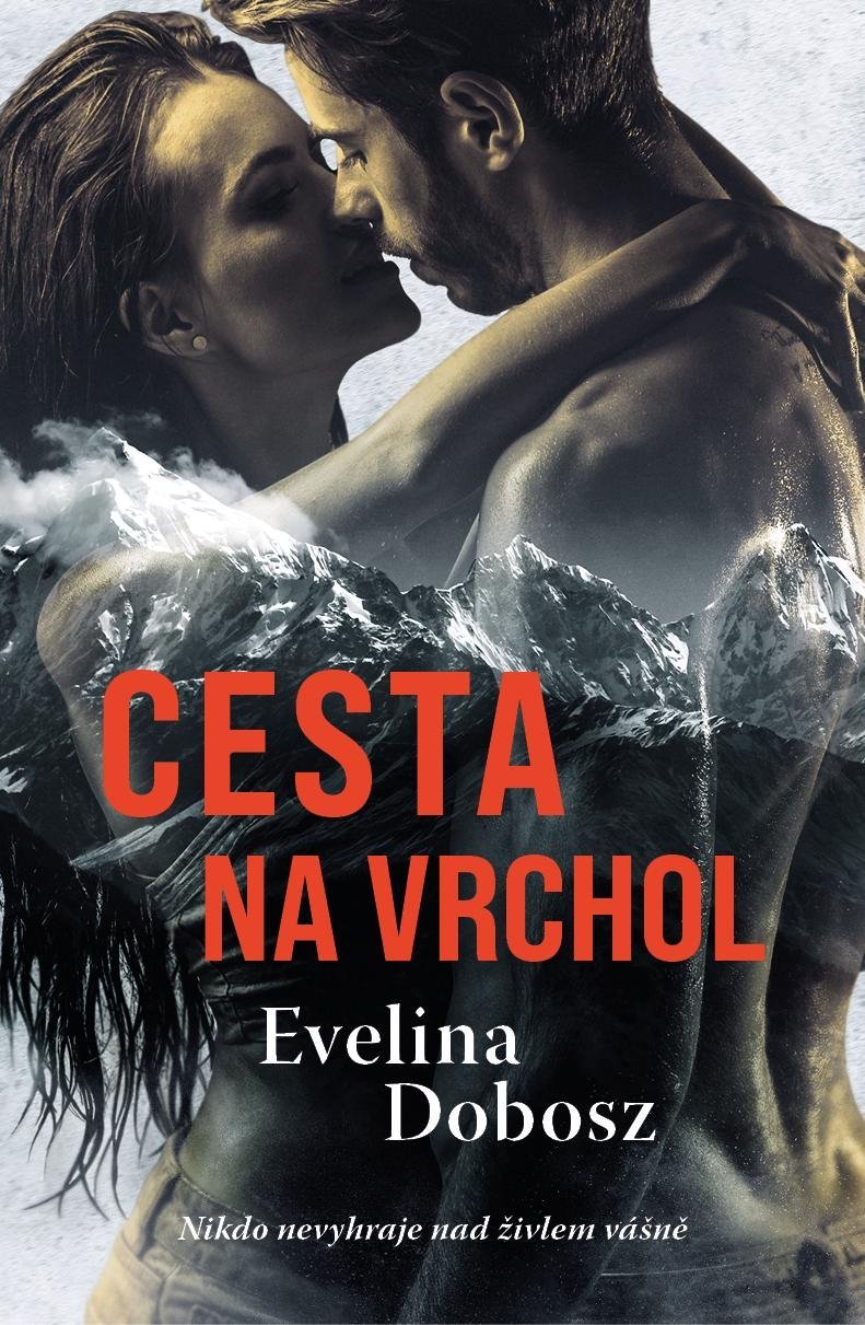 Cesta na vrchol book cover