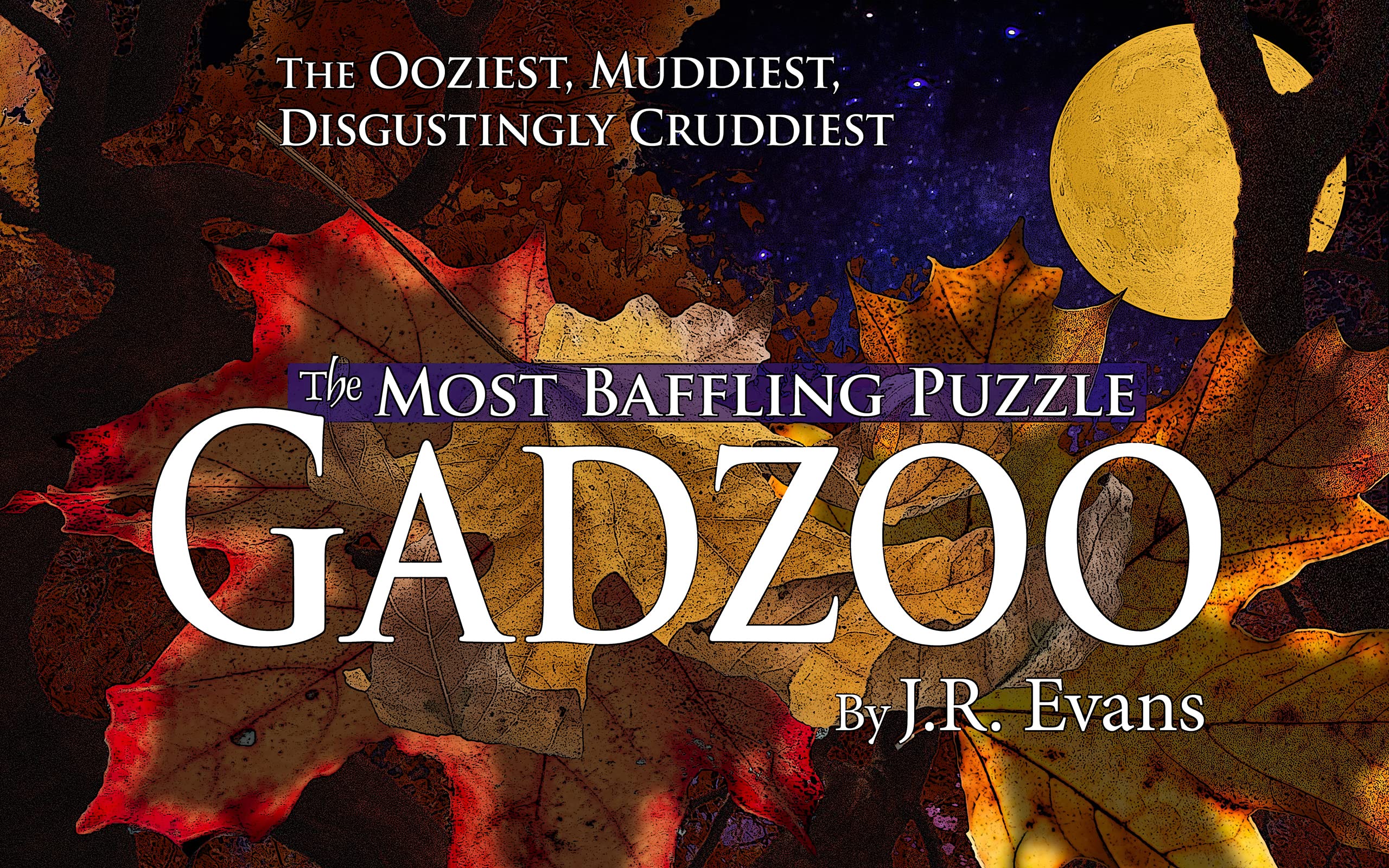 Gadzoo The Most Baffling Puzzle by John Robert Evans Goodreads