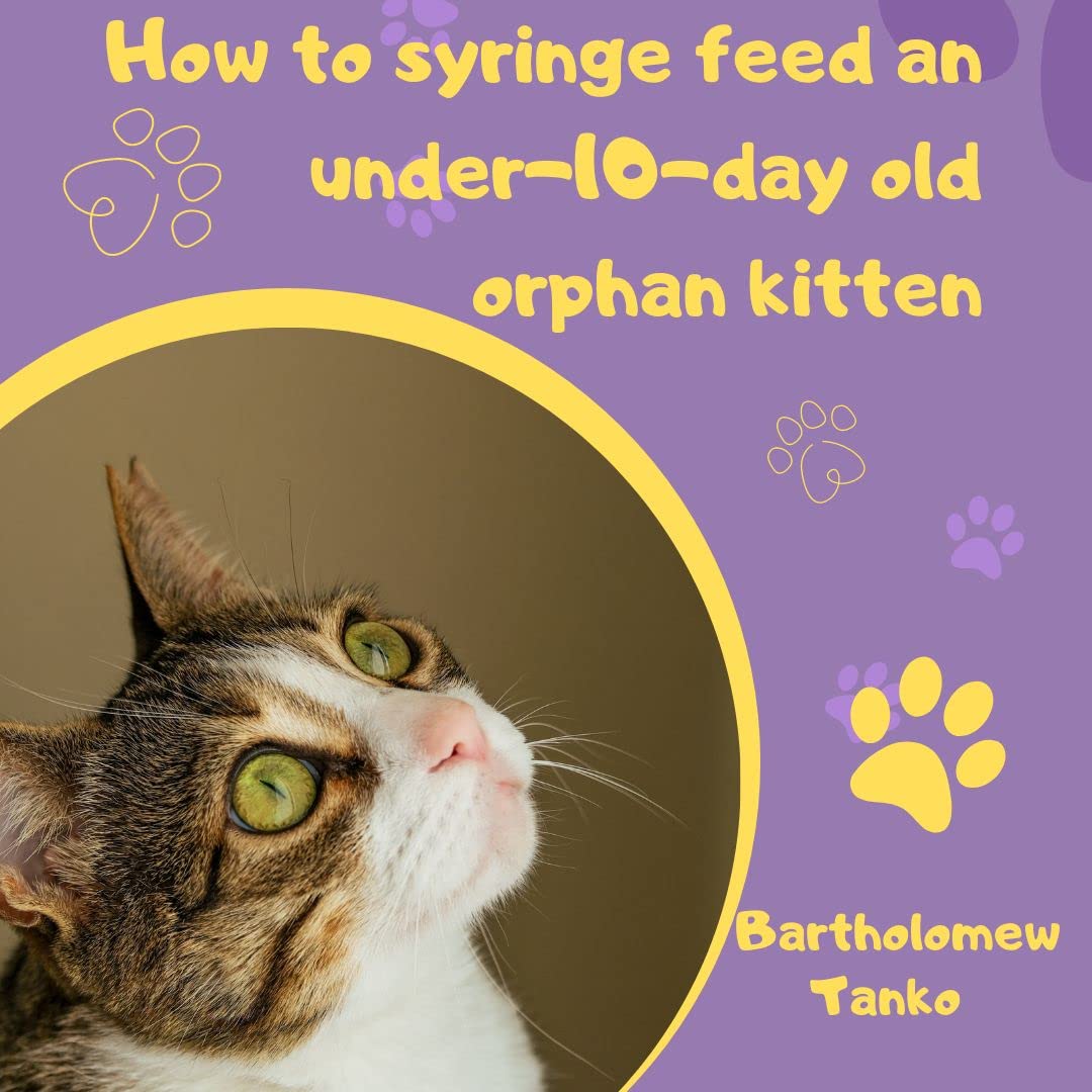 How to syringe feed an under10dayold orphaned kitten Proven process