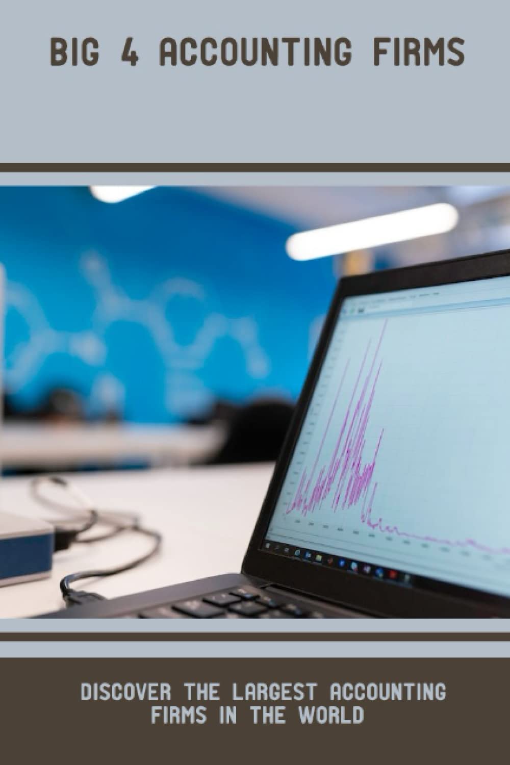 Big 4 Accounting Firms Discover The Largest Accounting Firms In The