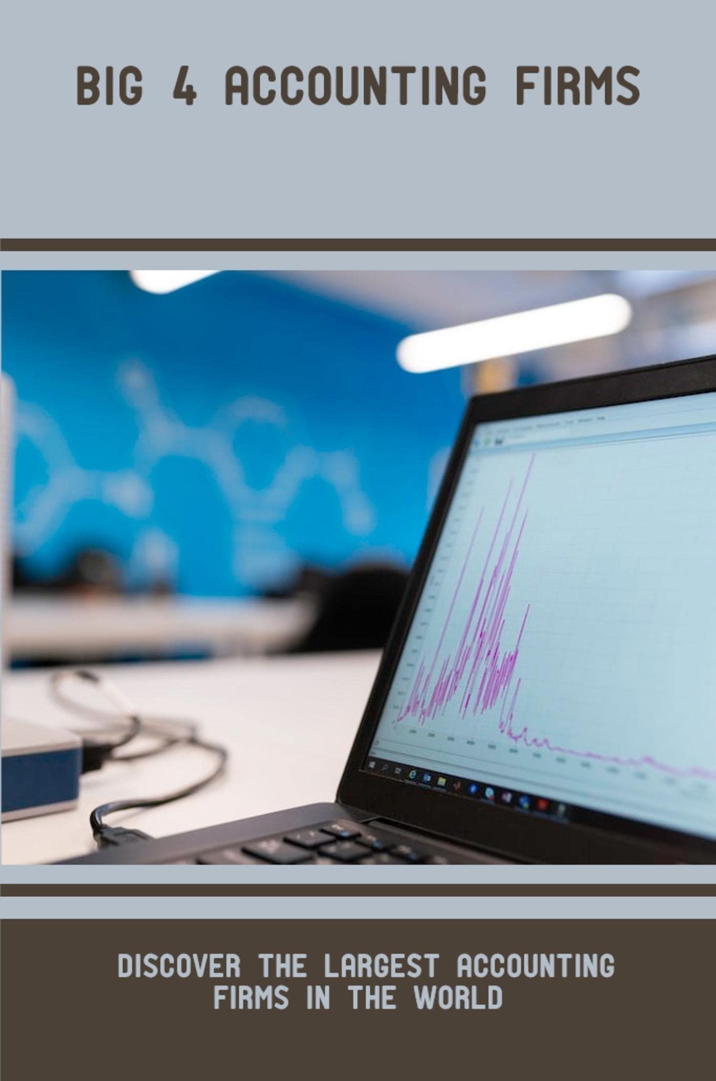 Big 4 Accounting Firms Discover The Largest Accounting Firms In The