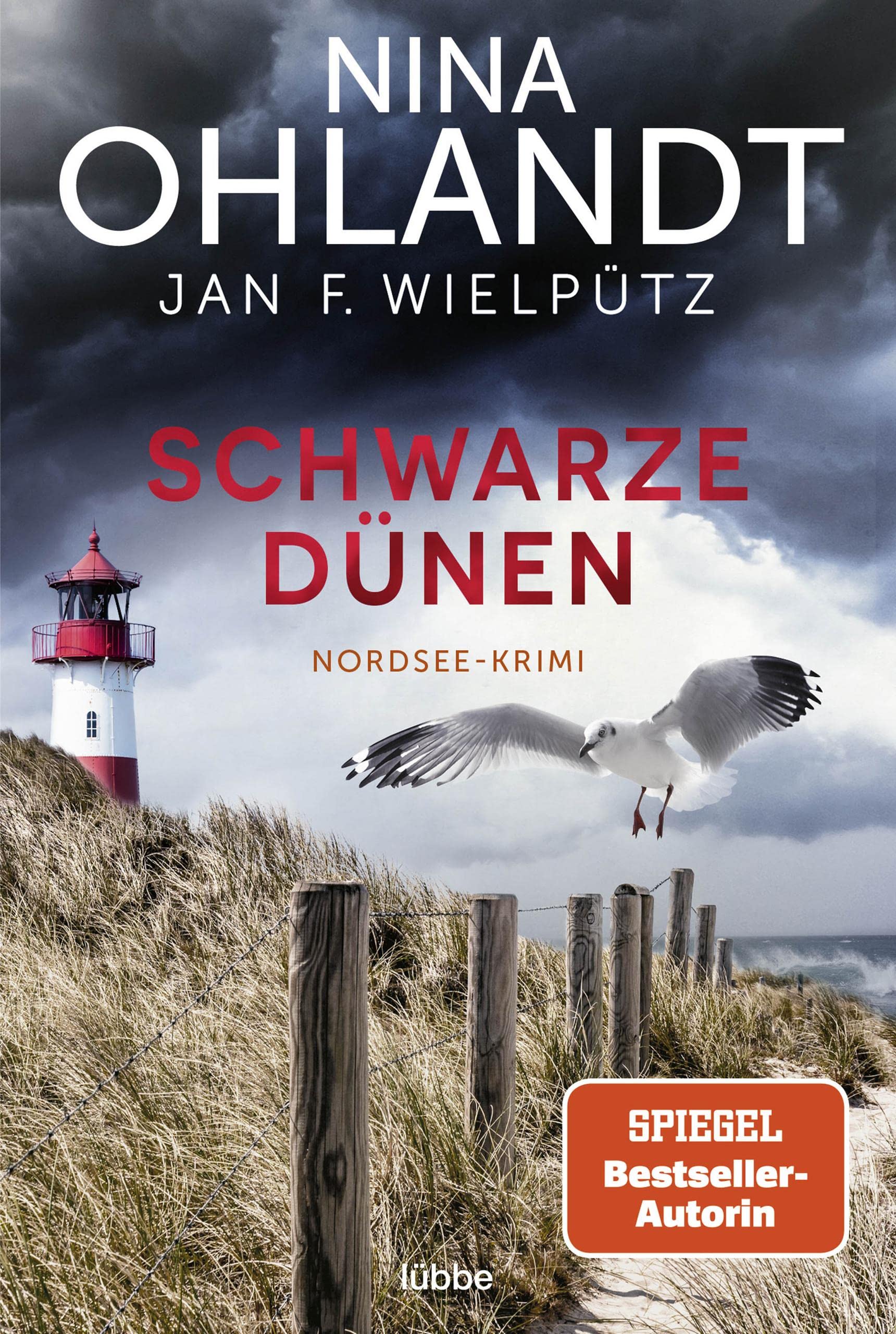 Schwarze Dünen: Nordsee-Krimi (Hauptkommissar John Benthien 9)