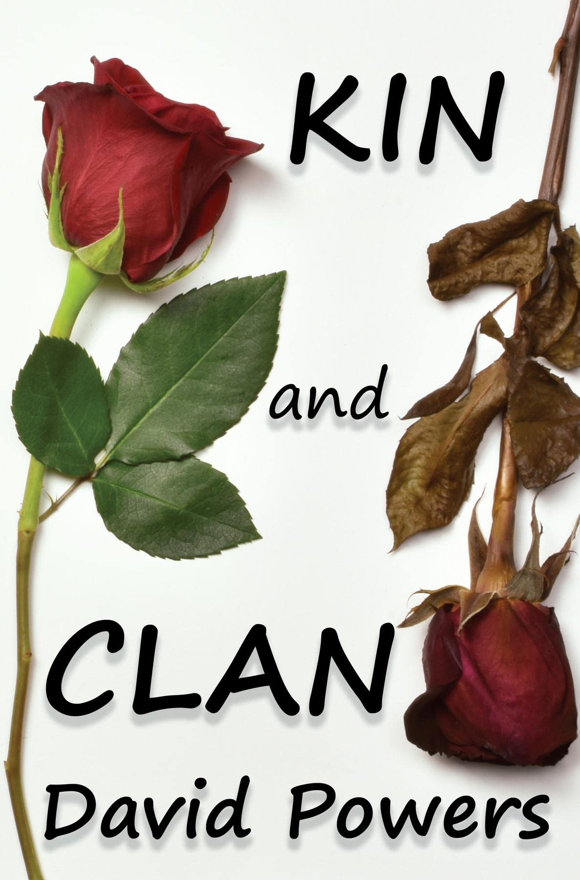 Kin and Clan by David Powers | Goodreads