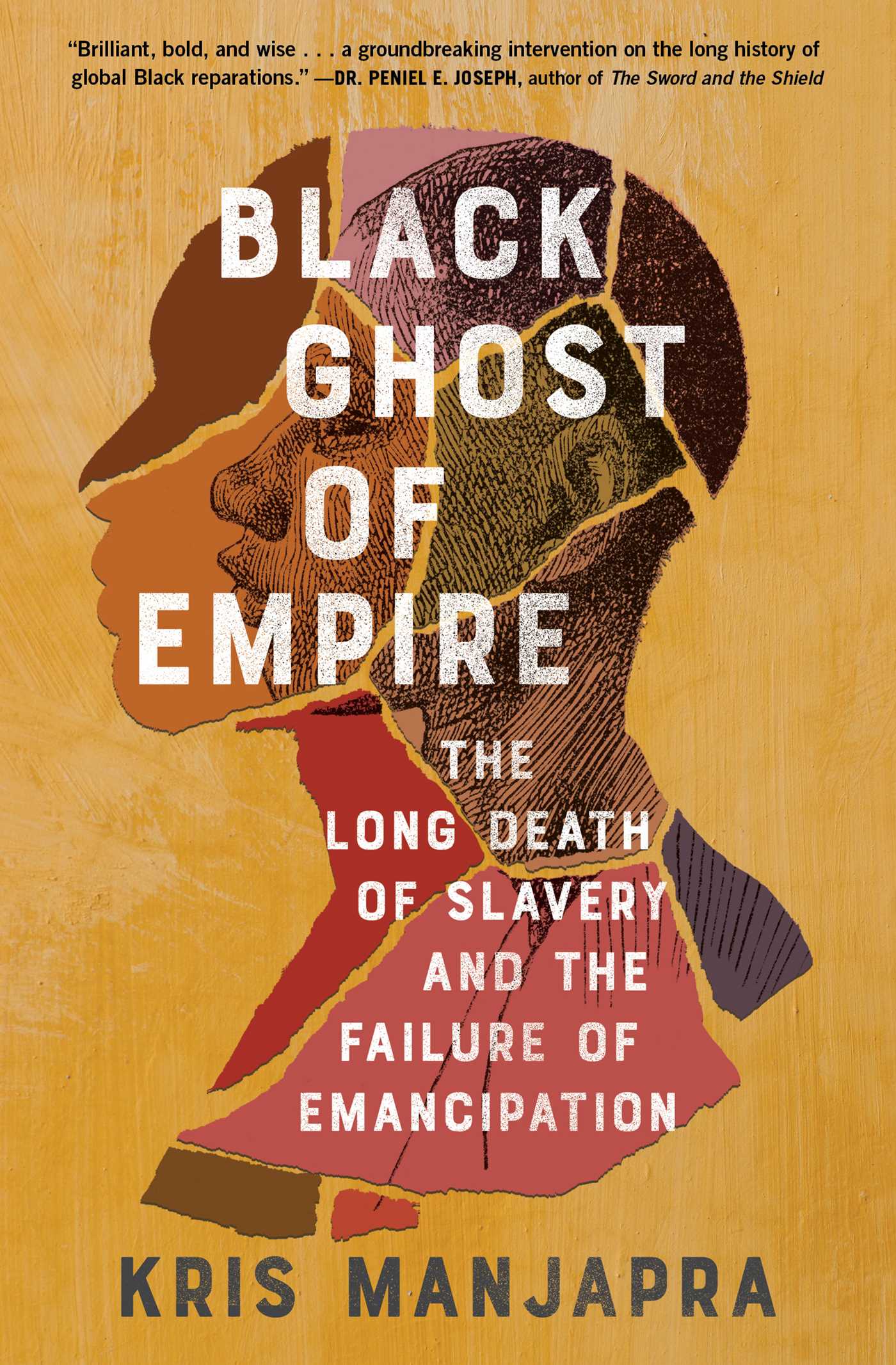 Black Ghost of Empire: The Long Death of Slavery and the Failure of Emancipation