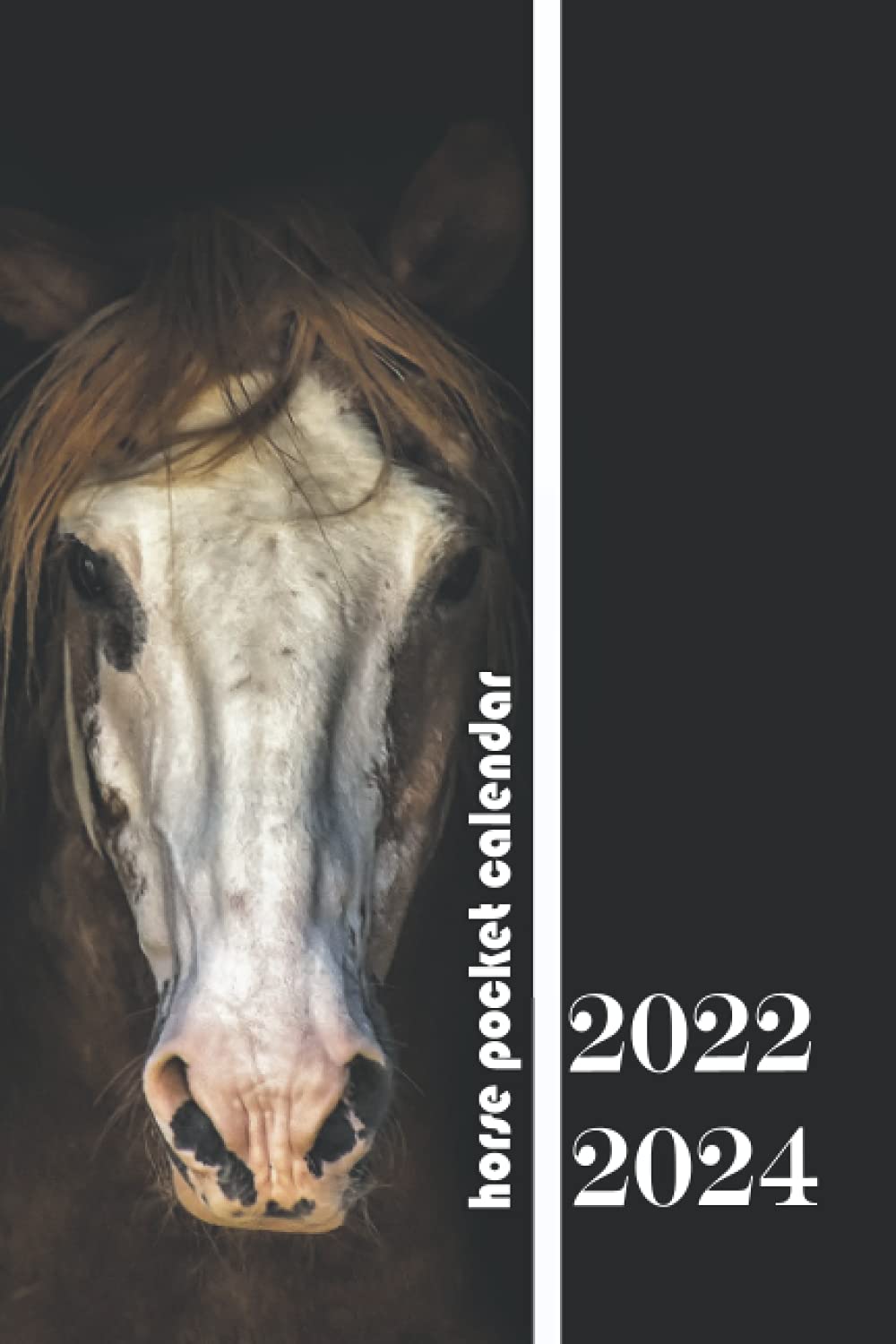horse pocket calendar 2022-2024: Wild Horse Calendar Theme 36-Month