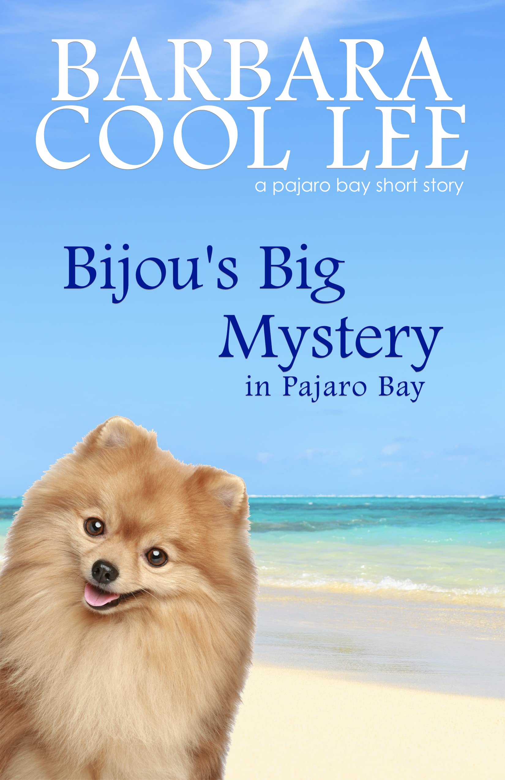 Bijou's Big Mystery in Pajaro Bay