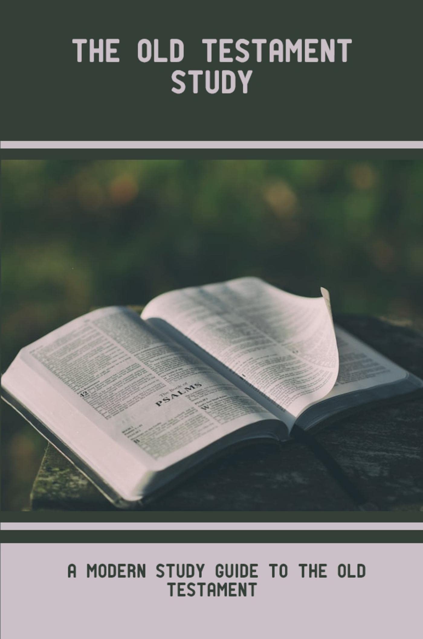 The Old Testament Study A Modern Study Guide To The Old Testament by Jacinto Rashid Goodreads