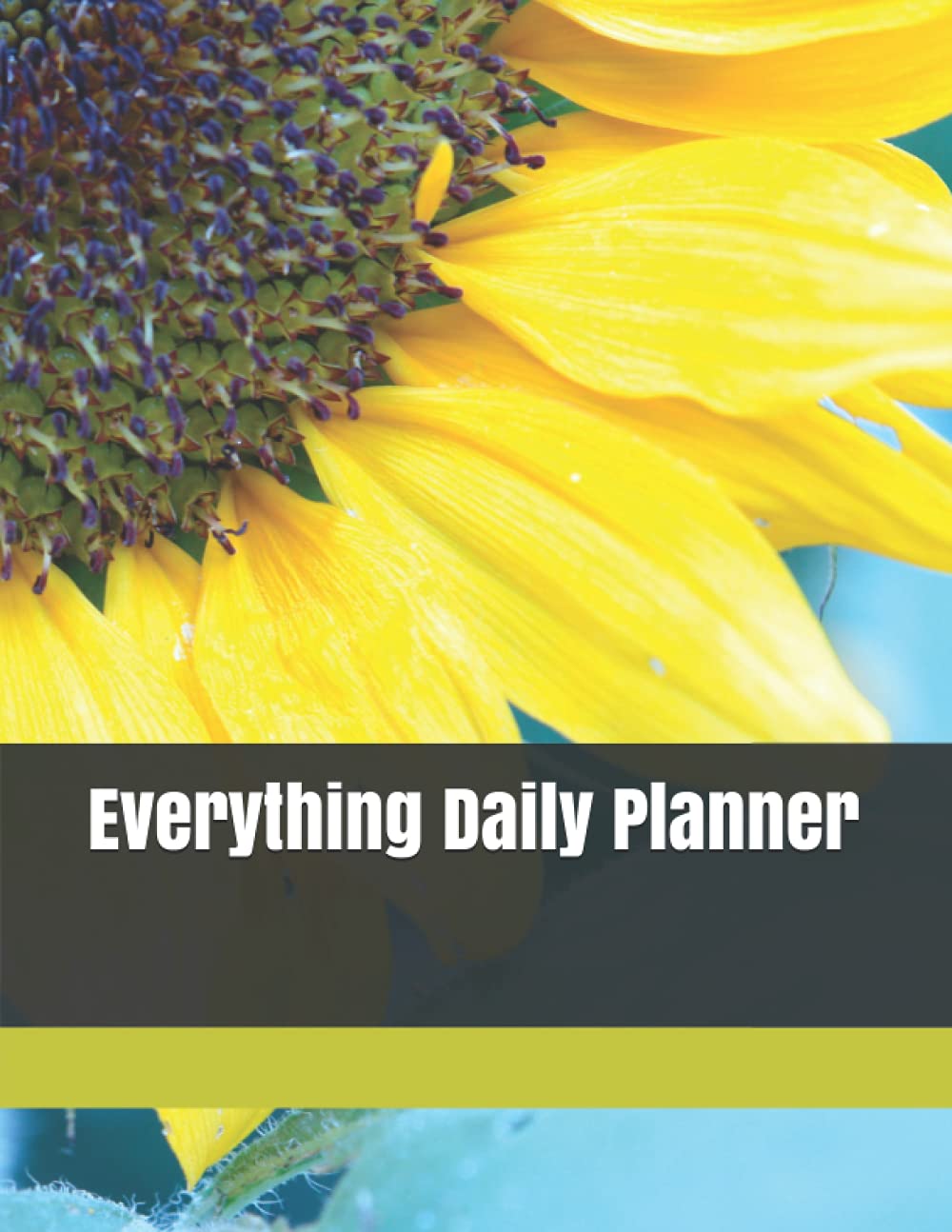 everything-daily-planner-by-amber-bothwell-goodreads