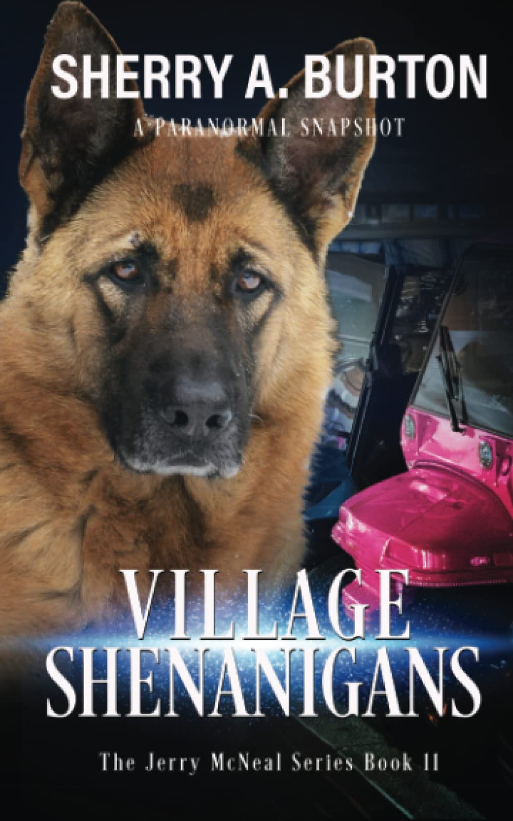 Village Shenanigans Book 11 in the Jerry McNeal series by Sherry A