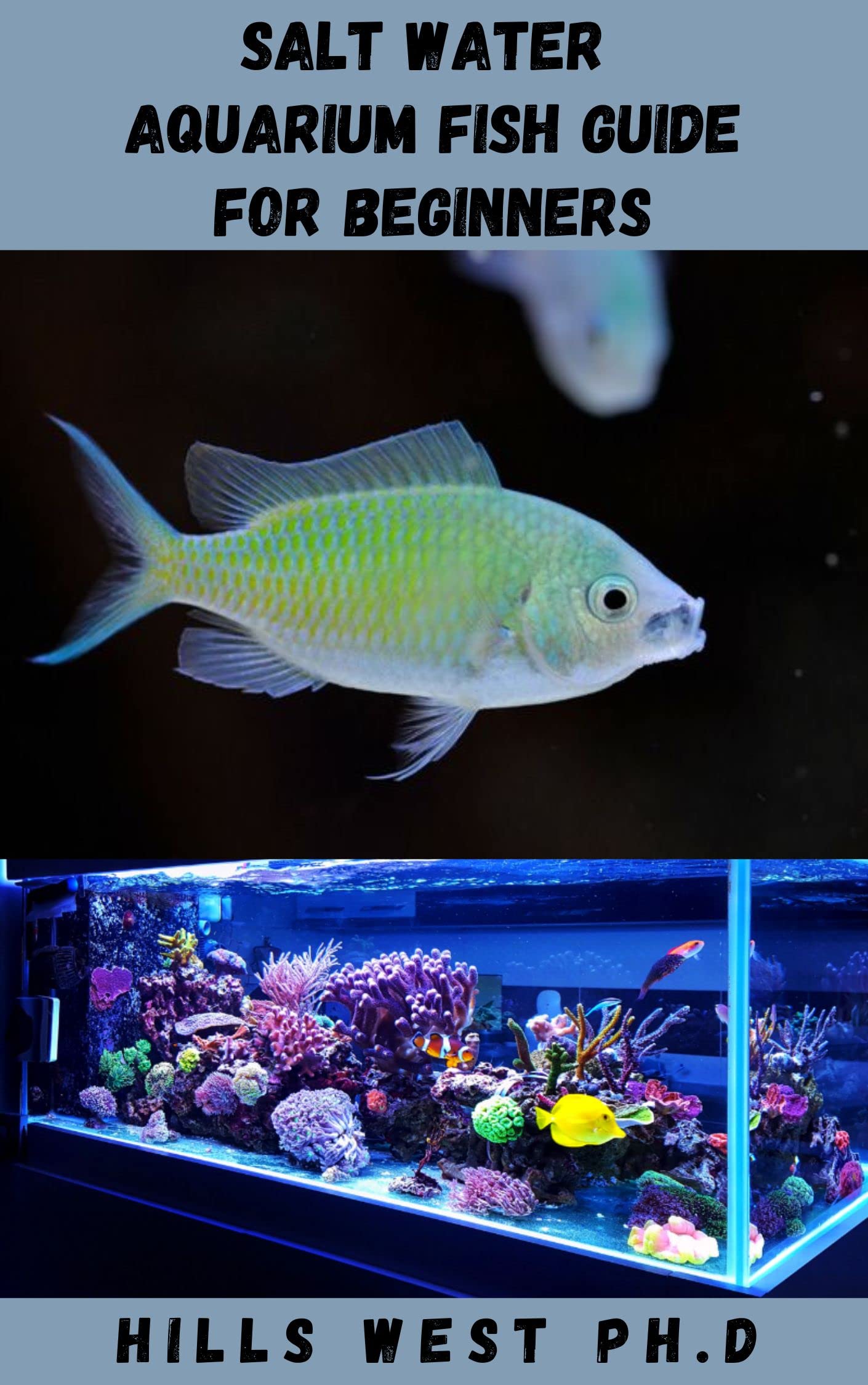SALT WATER AQUARIUM FISH GUIDE FOR BEGINNERS Ultimate Guide On How To Create, Set Up, Care For