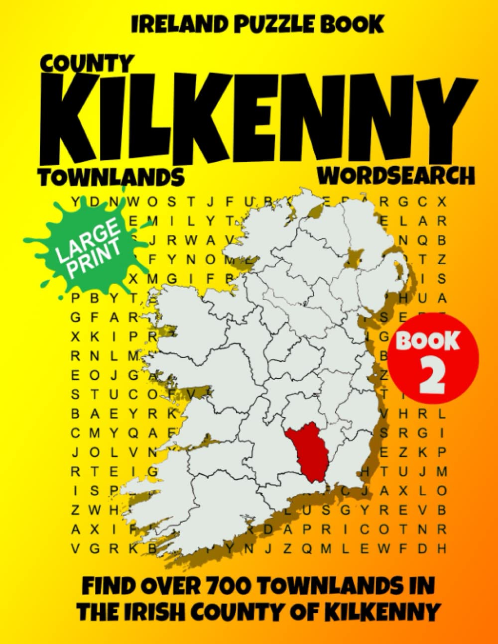 Ireland Puzzle Book County of Kilkenny Word Search (Book 2) Find over