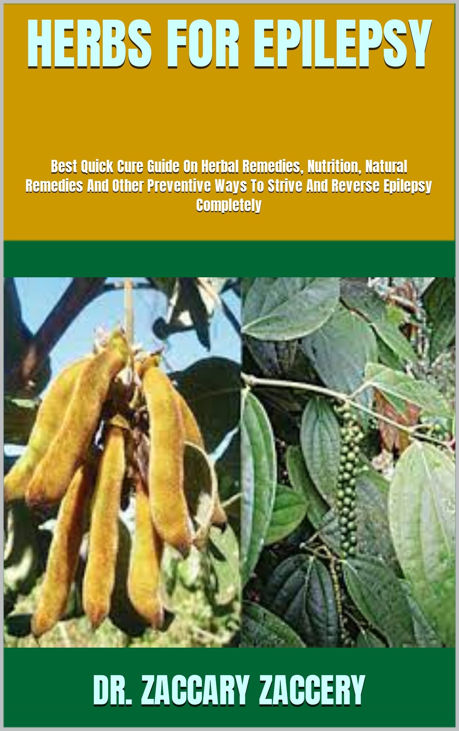 HERBS FOR EPILEPSY Best Quick Cure Guide On Herbal Remedies