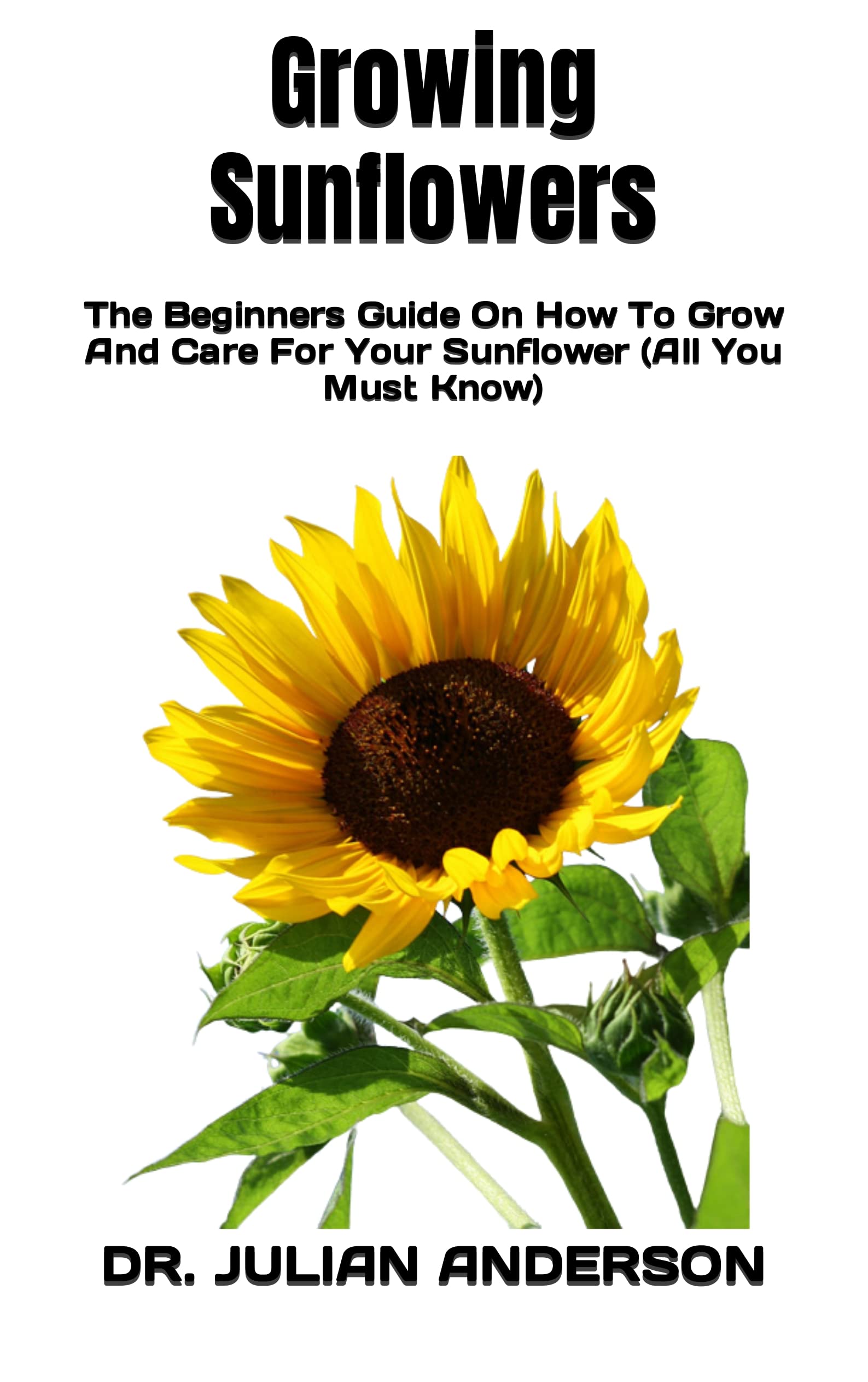 Growing Sunflowers The Beginners Guide On How To Grow And Care For Your Sunflower by Dr