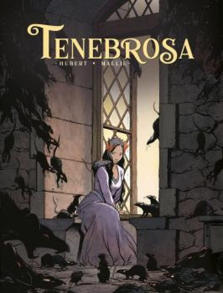 Ténébreuse book cover 2