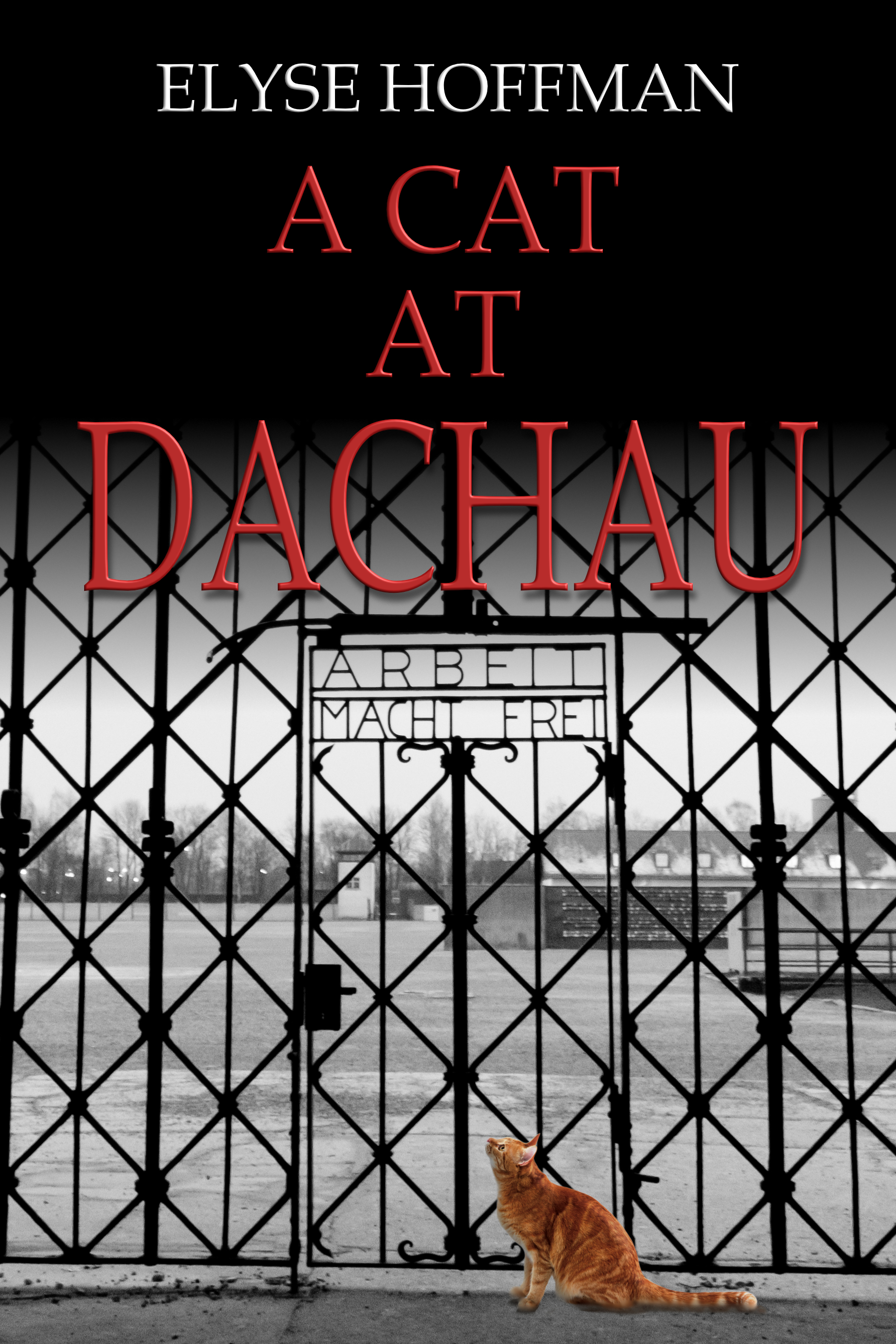 A Cat at Dachau
