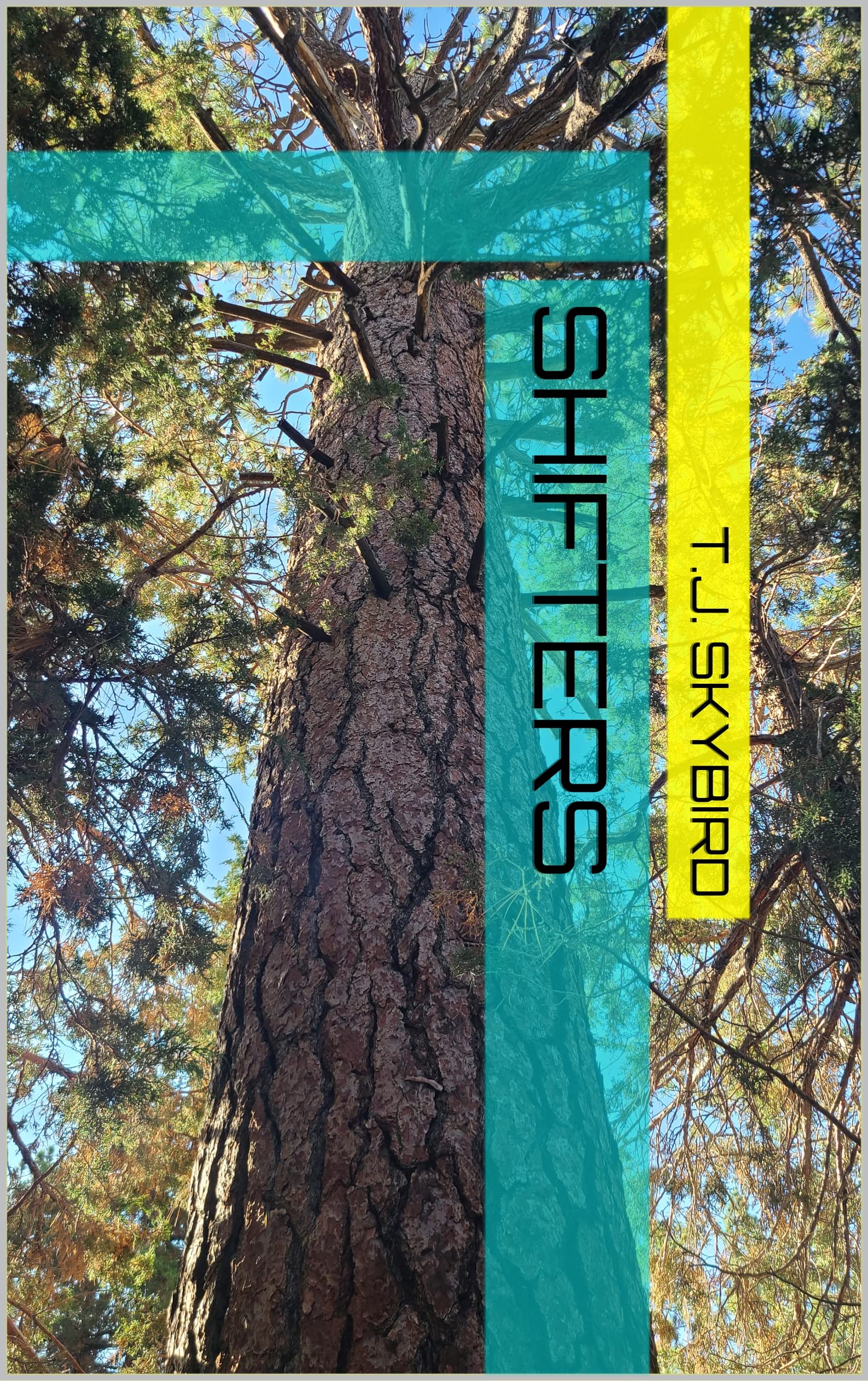 Shifters