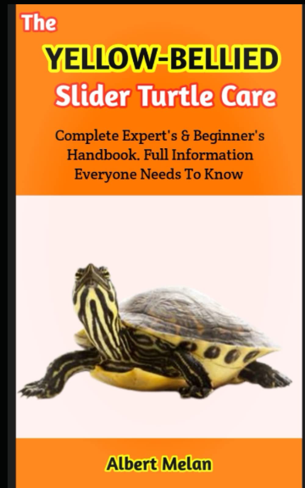 The YellowBellied Slider Turtle Care Care And Maintenance Of Aquatic