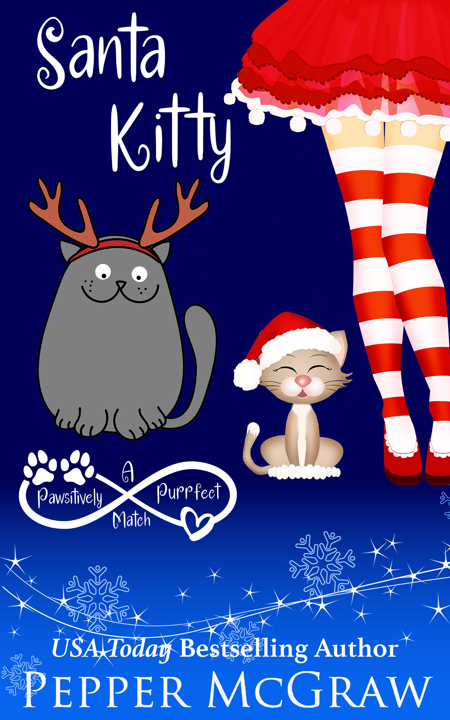 Santa Kitty book cover