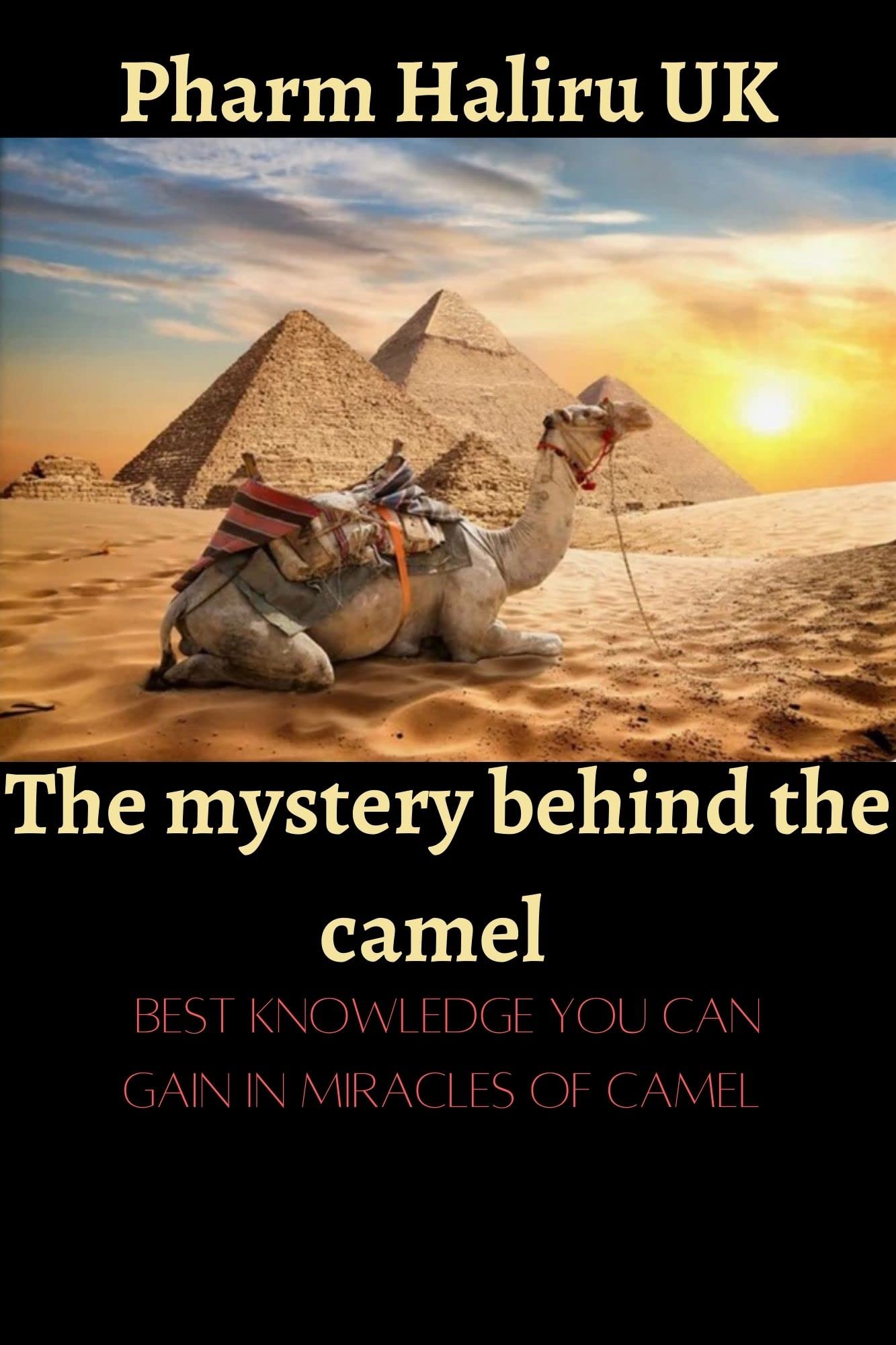 The mystery behind the camel The miracles and mysteries of camel with