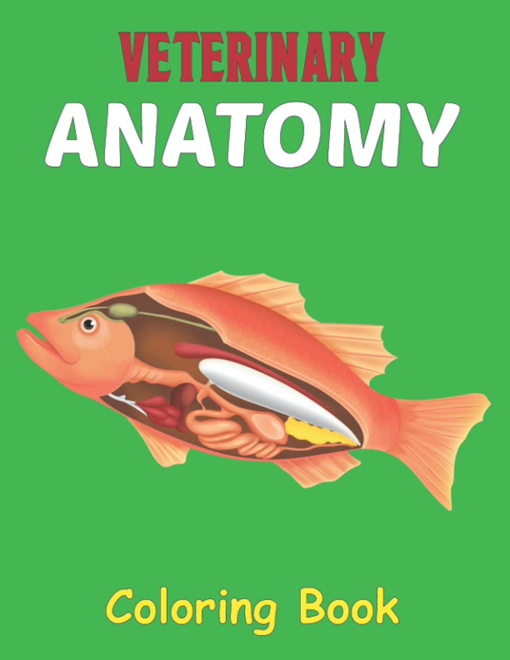 veterinary-anatomy-coloring-book-physiology-animals-workbook-simple