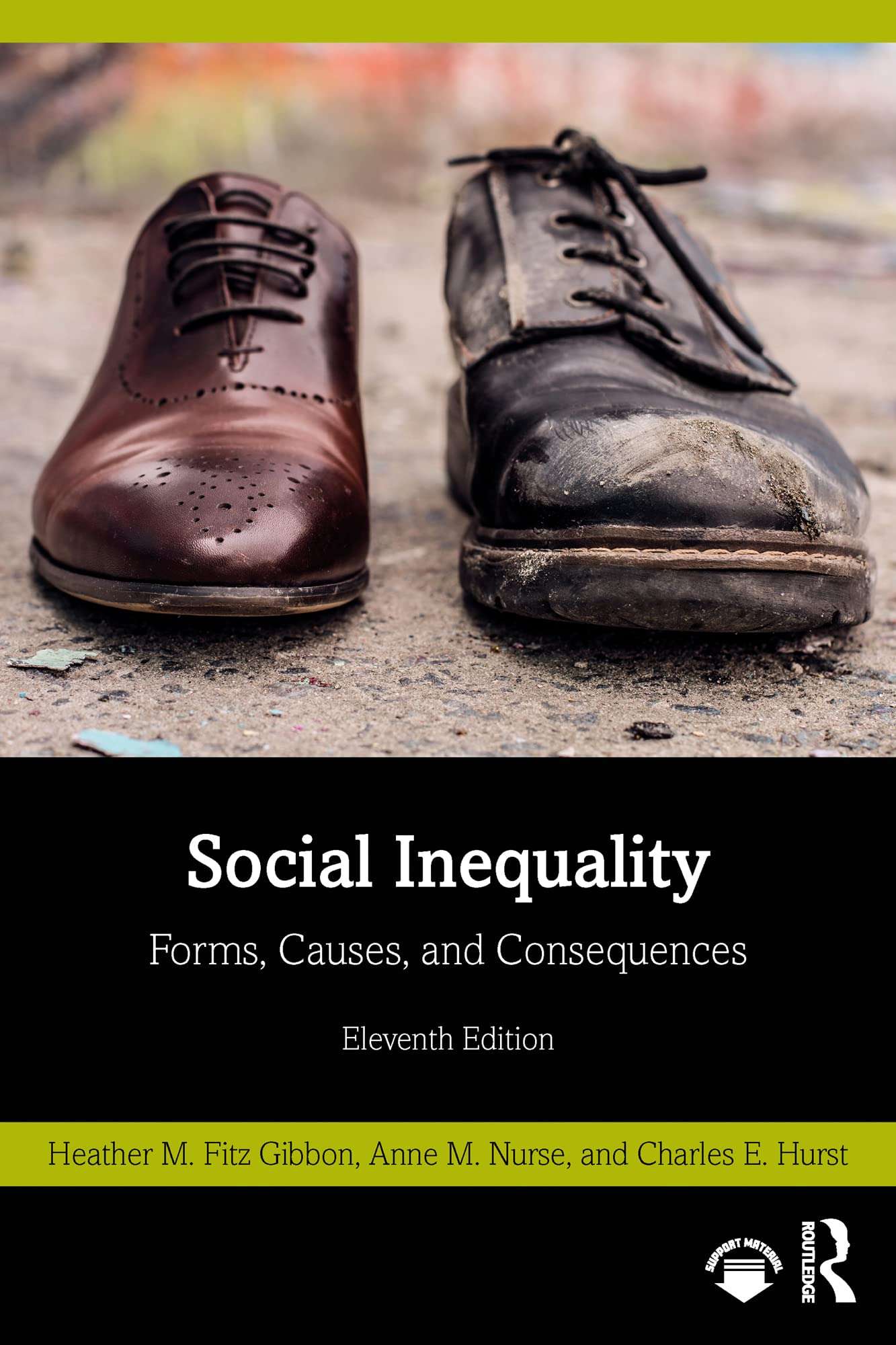 Social Inequality Forms, Causes, and Consequences by Heather M Fitz
