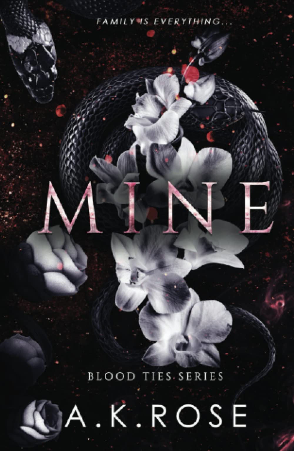 Mine book cover