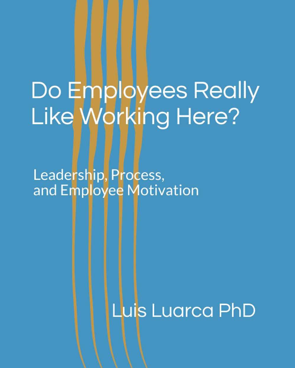 Do Employees Really Like Working Here? Leadership, Process, and