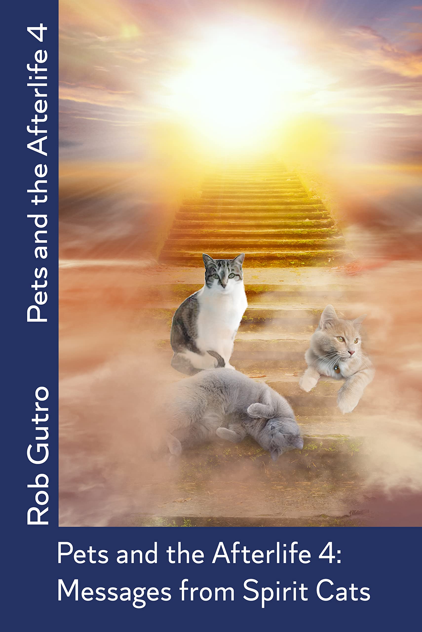 Pets and the Afterlife 4 Messages from Spirit Cats by Rob Gutro
