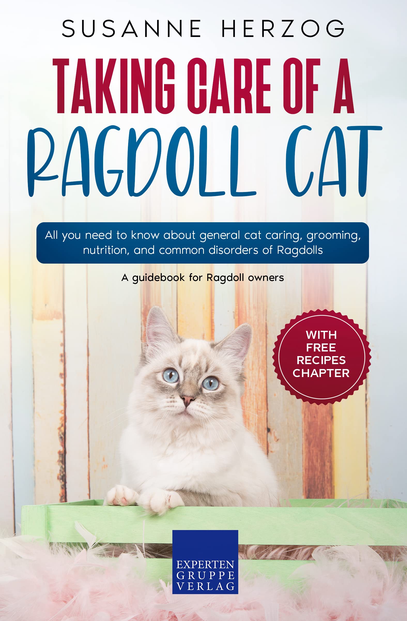 Taking care of a Ragdoll Cat All you need to know about general cat