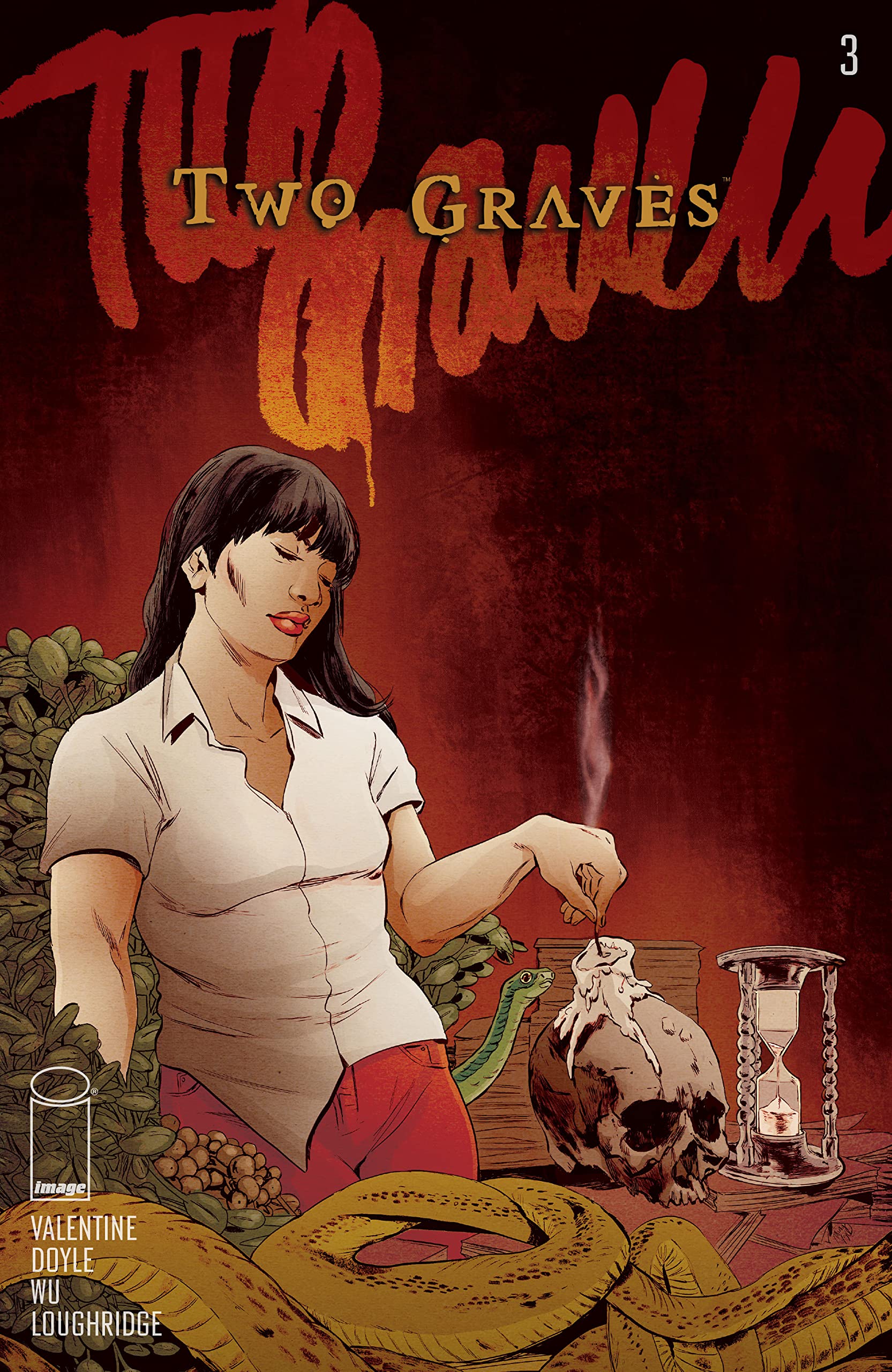 Two Graves book cover 2