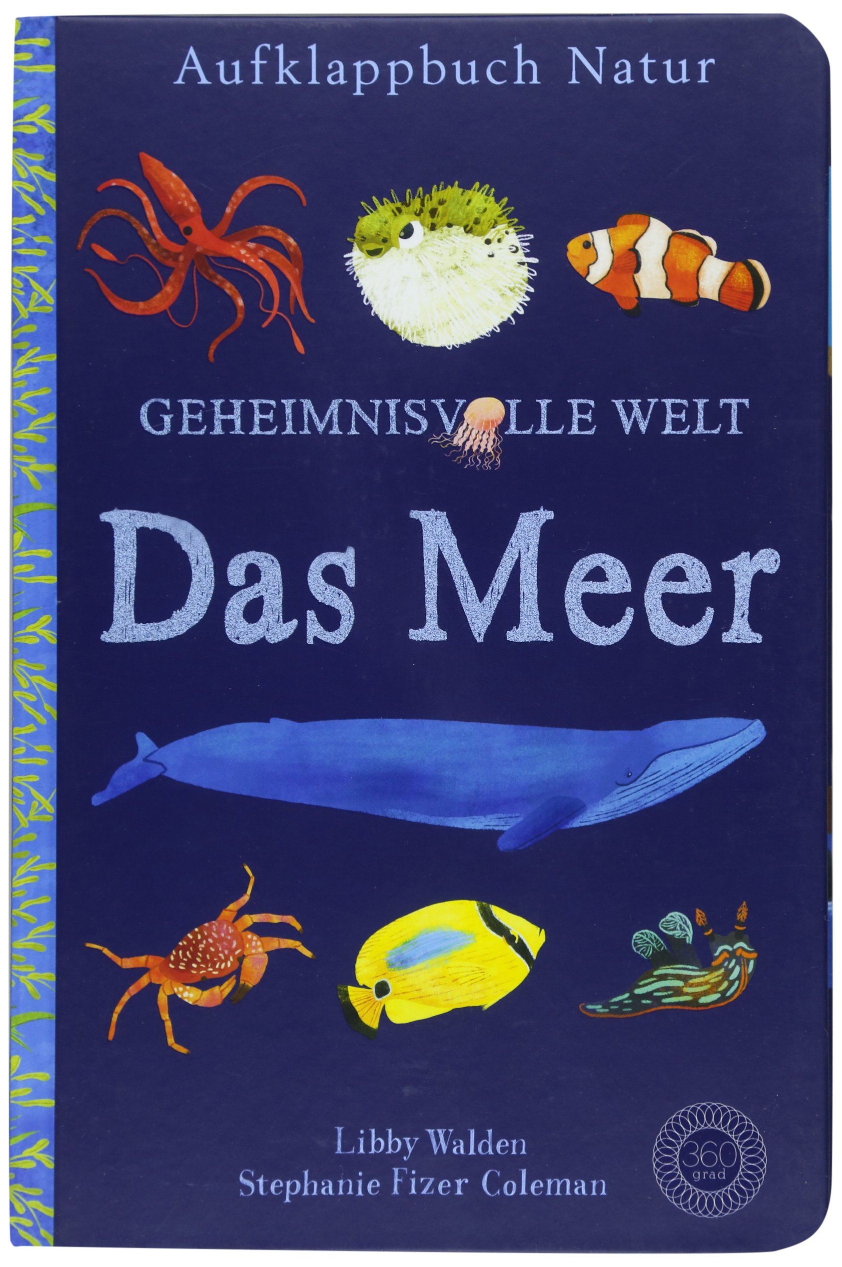Geheimnisvolle Welt: Das Meer by Libby Walden | Goodreads