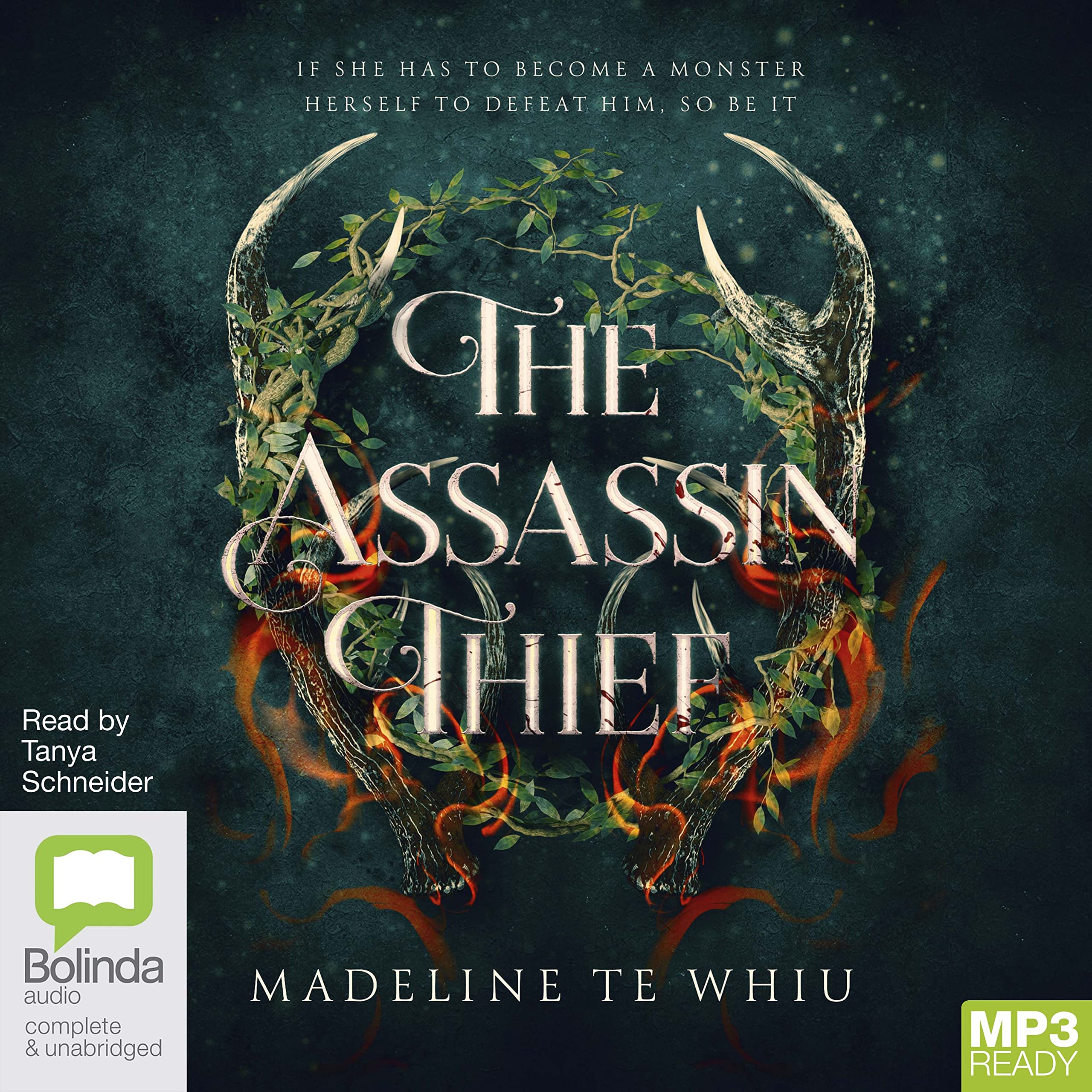 The Assassin Thief