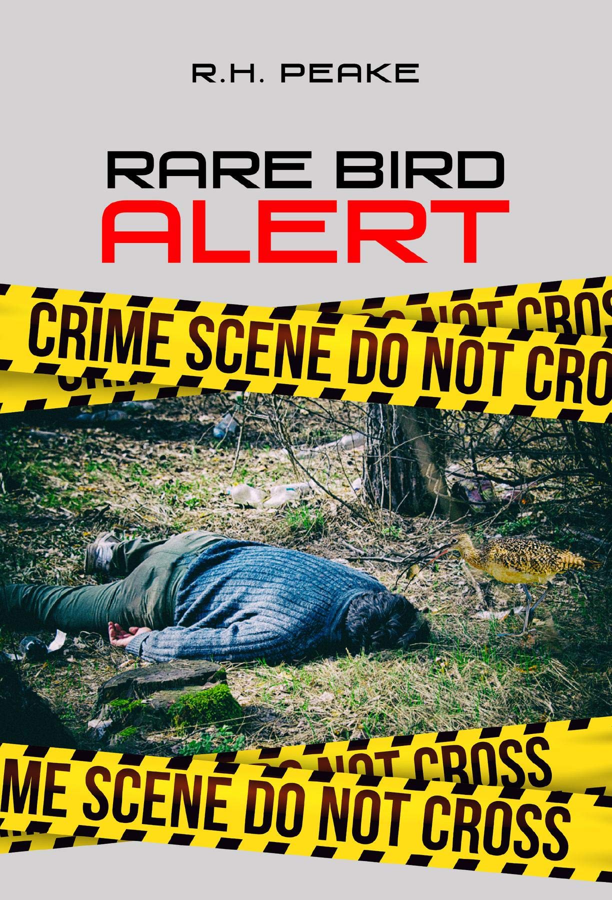 Rare Bird Alert Orange County - dfylv9m