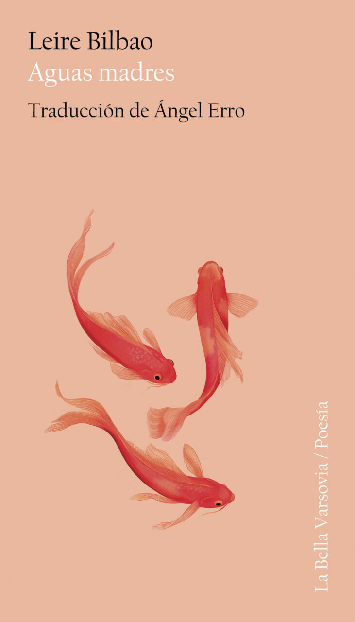 Aguas madres book cover