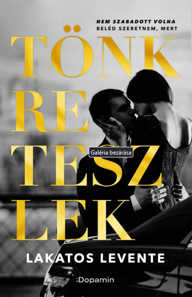 Tönkreteszlek book cover