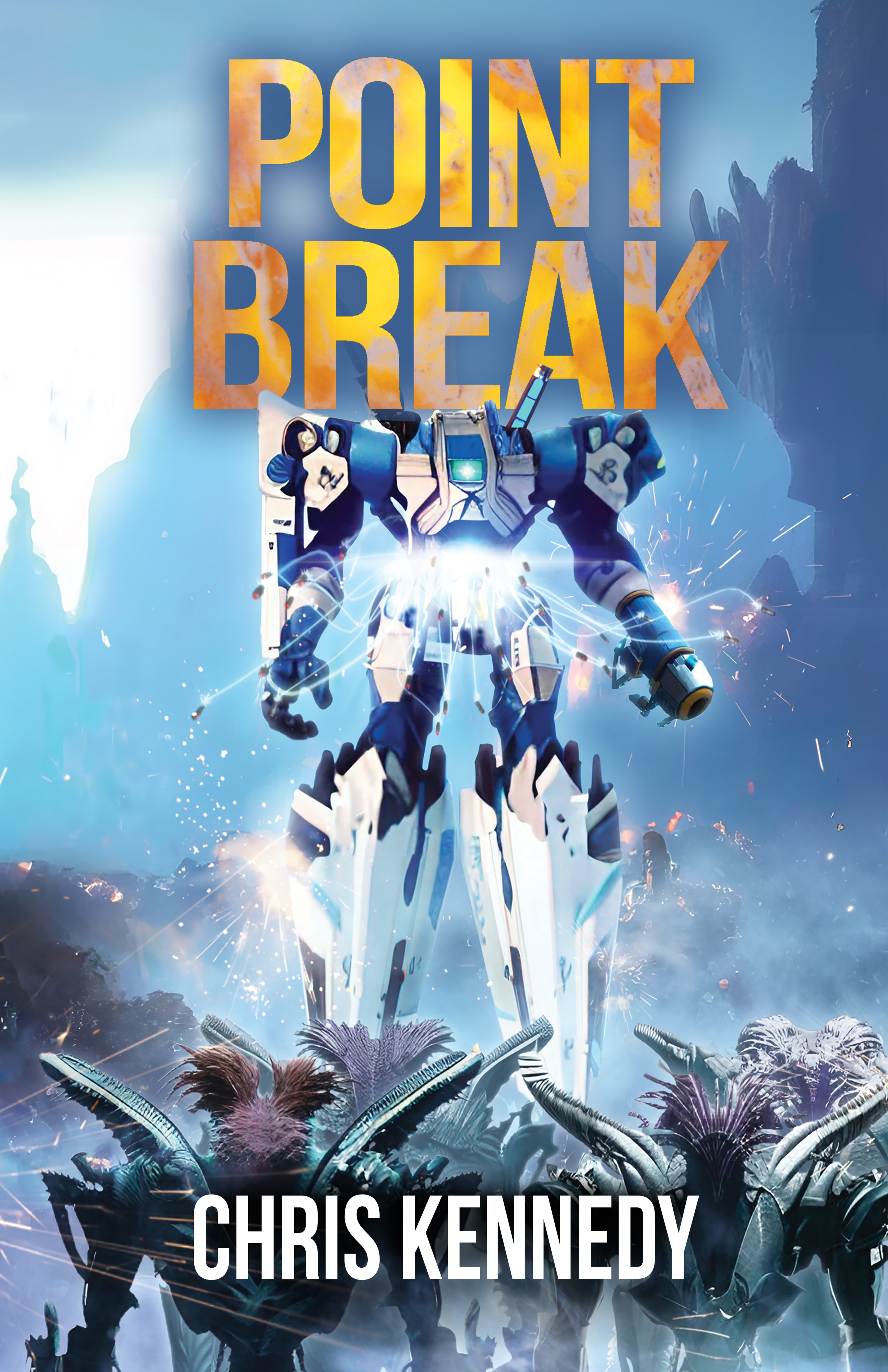 Point Break book cover