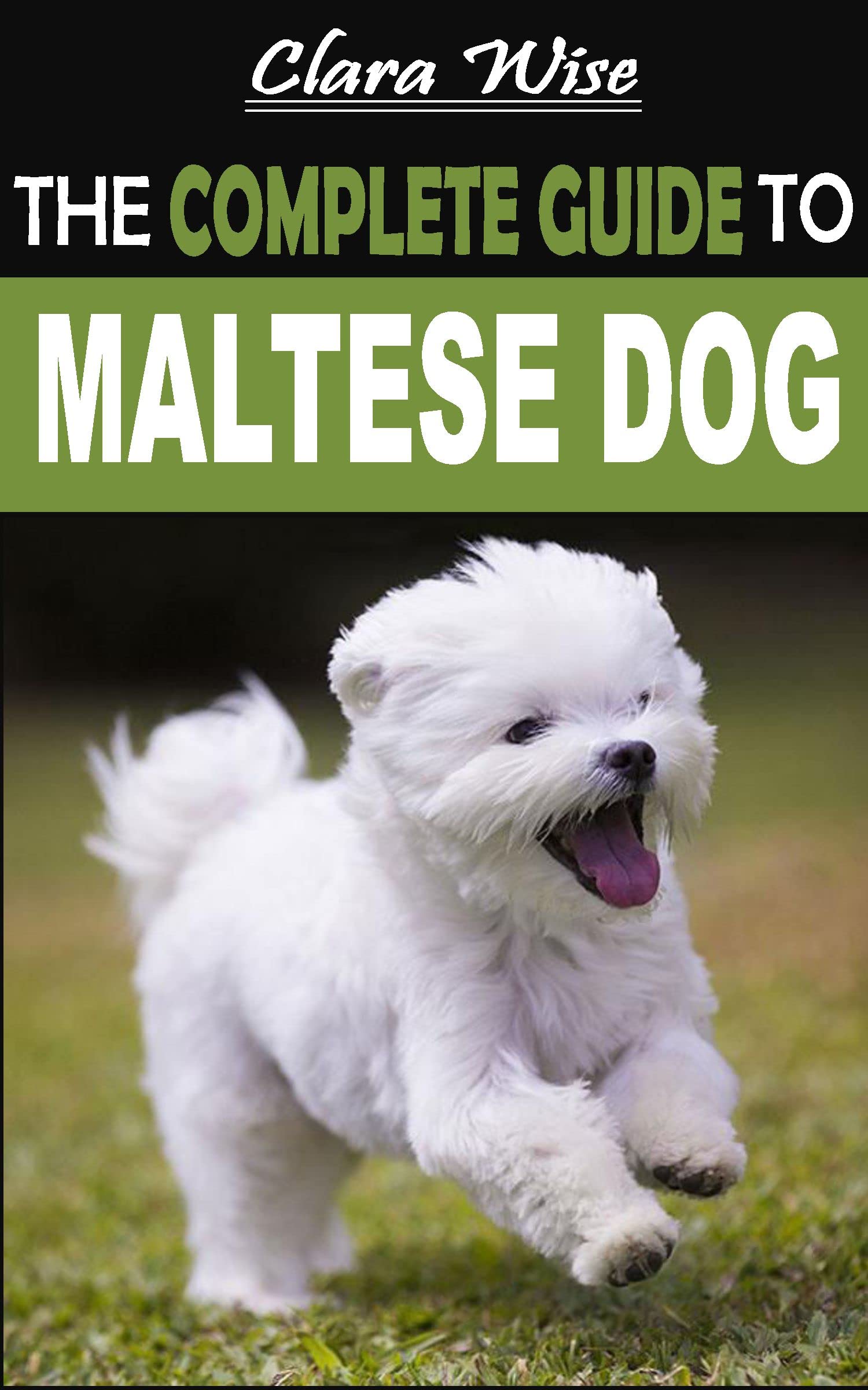 THE COMPLETE GUIDE TO MALTESE DOG The Best Pet Owner’s Handbook on