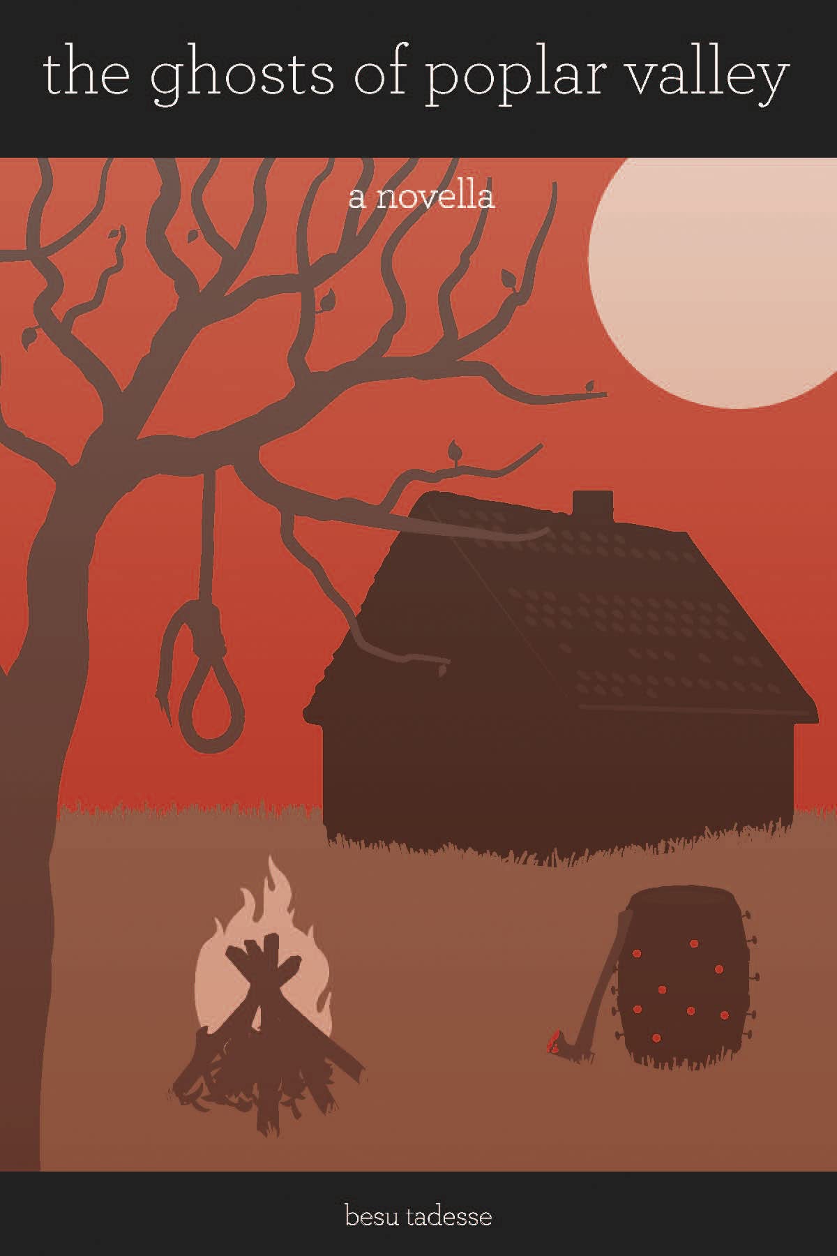 The Ghosts of Poplar Valley book cover