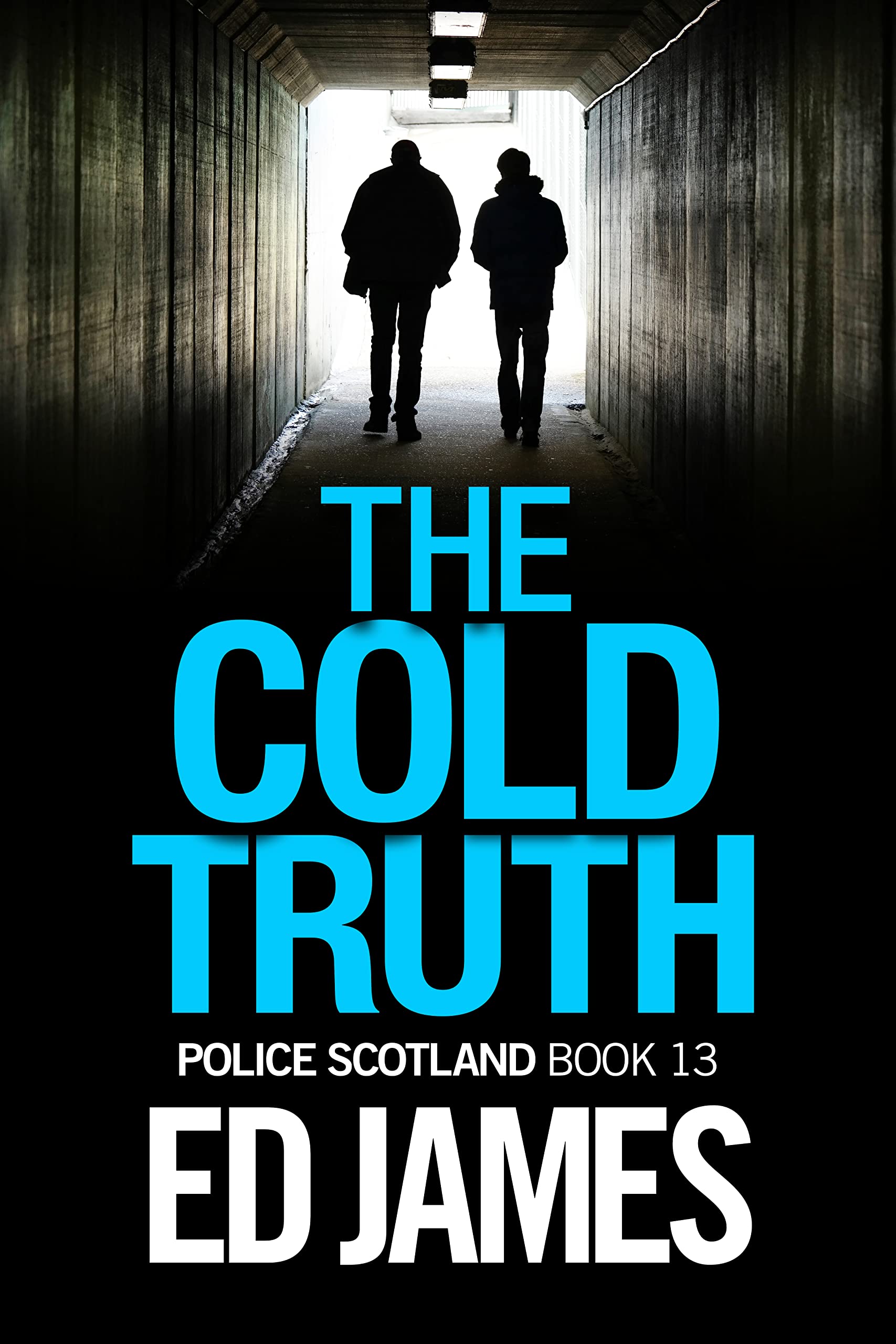 The Cold Truth book cover