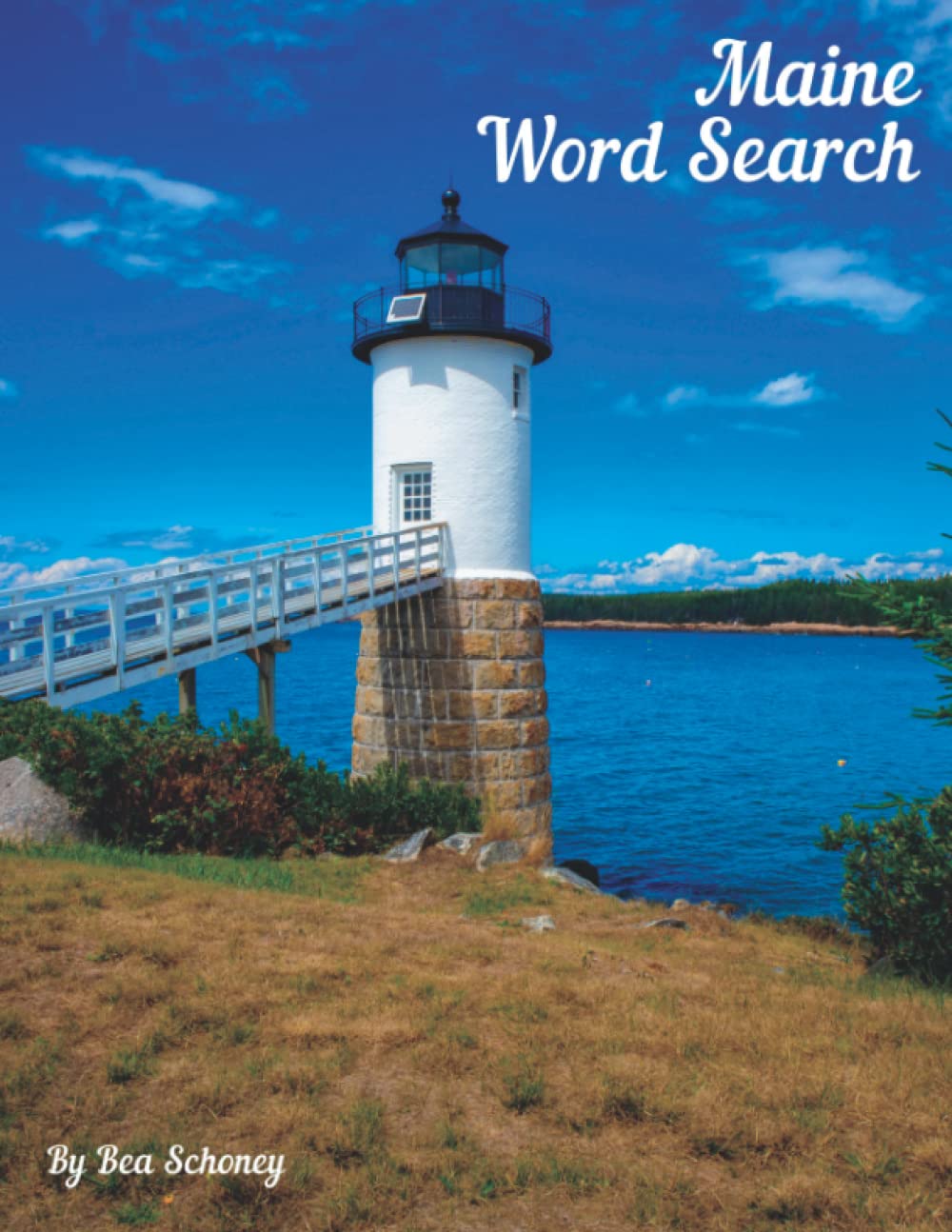 Maine Word Search: Large Print Activity Book for Teens and Adults by ...