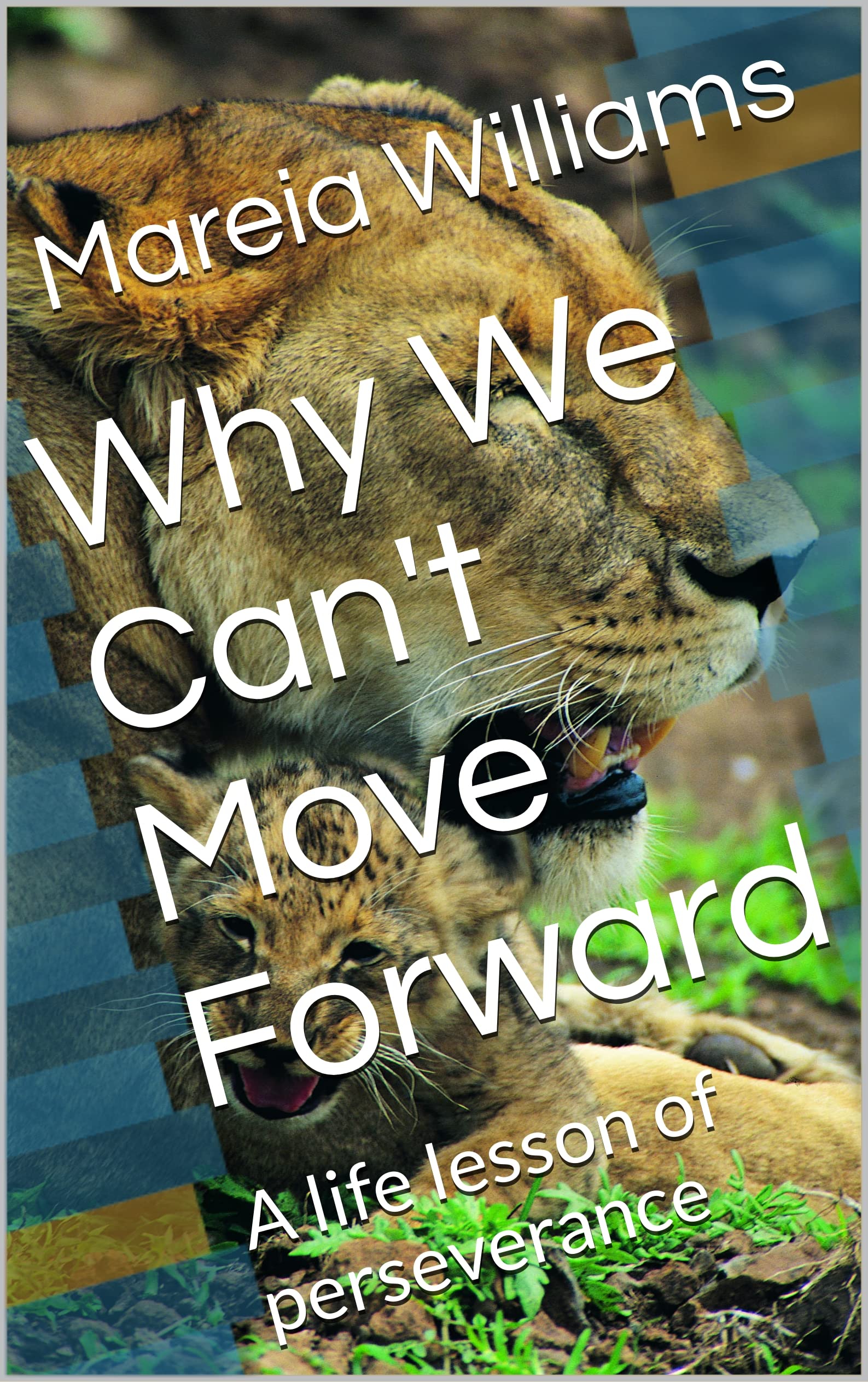 Why We Can't Move Forward : A life lesson of perseverance by Mareia ...