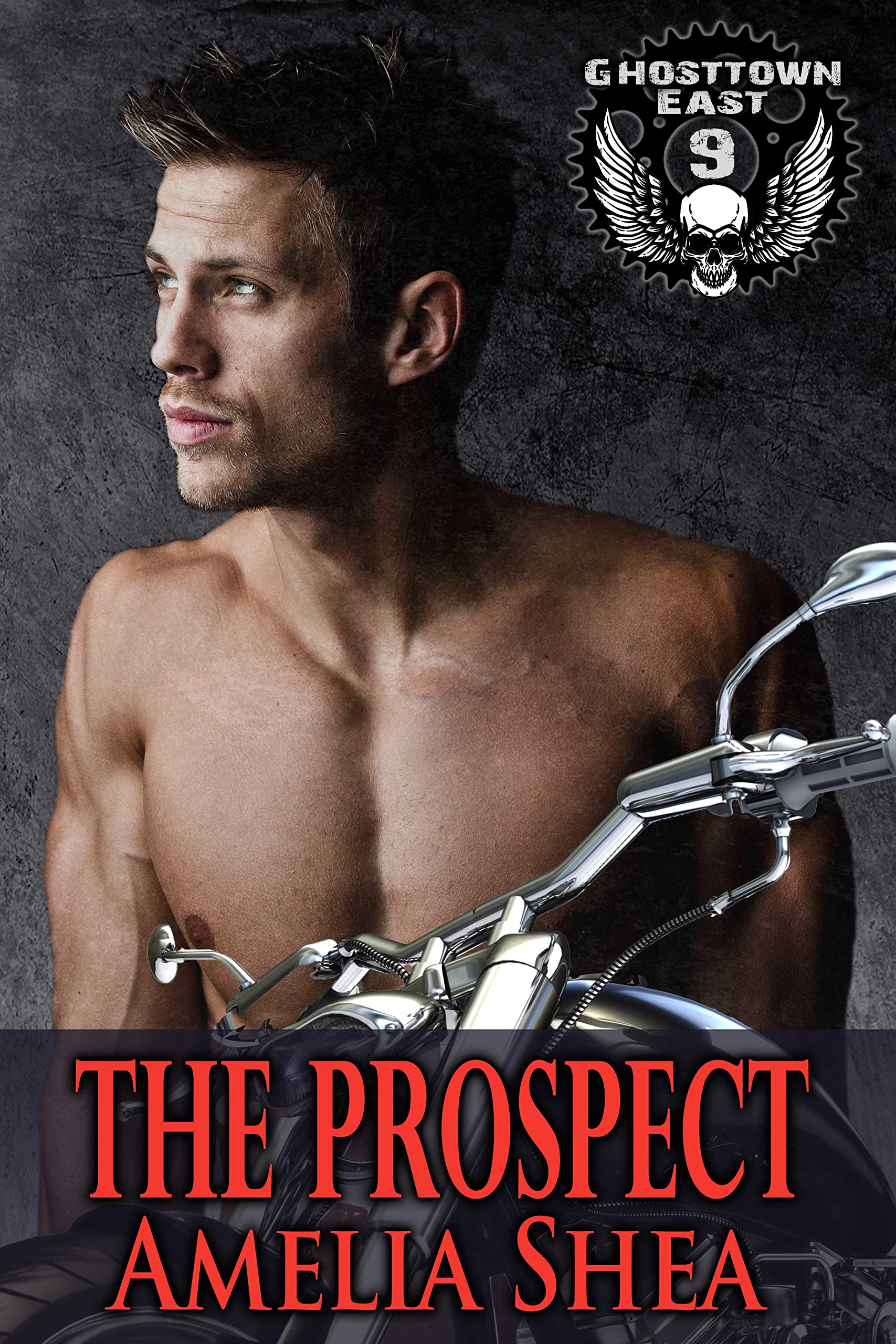 The Prospect book cover