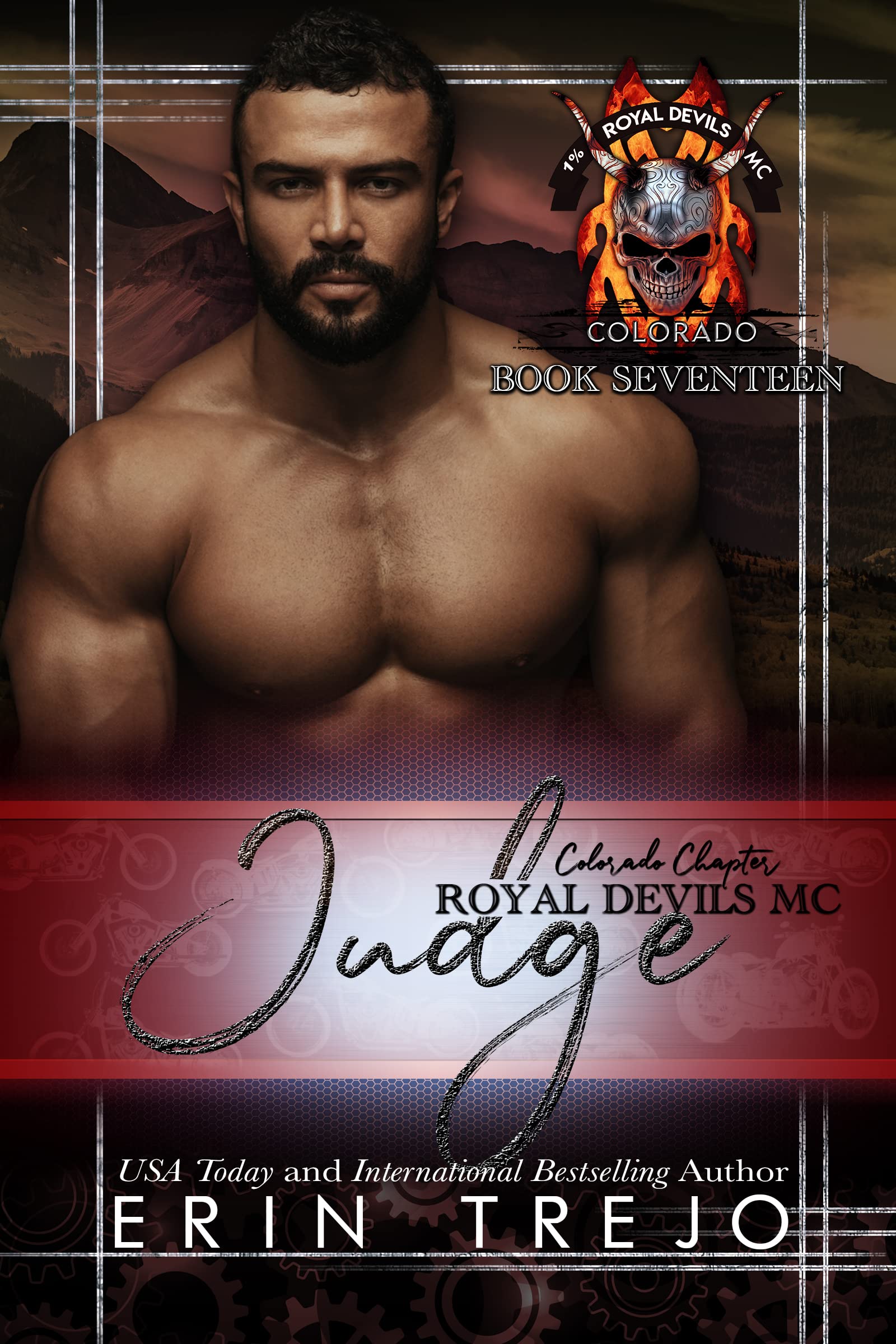 Judge book cover