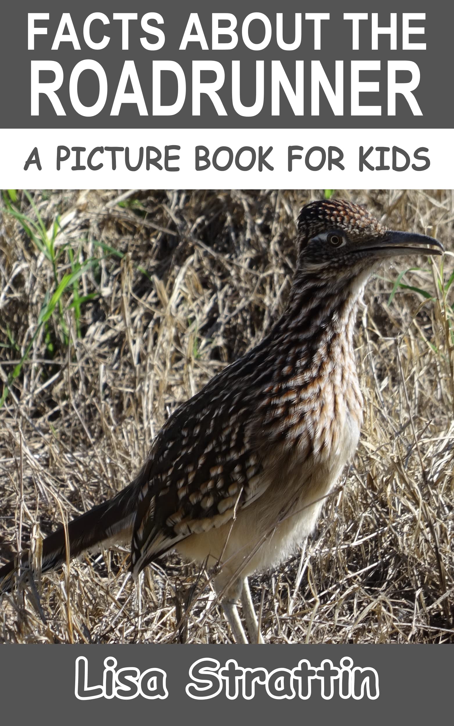 Facts About the Roadrunner by Lisa Strattin Goodreads