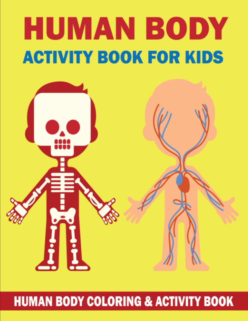 Human Body Human Body Activity Book & coloring for Toddlers Ages 48