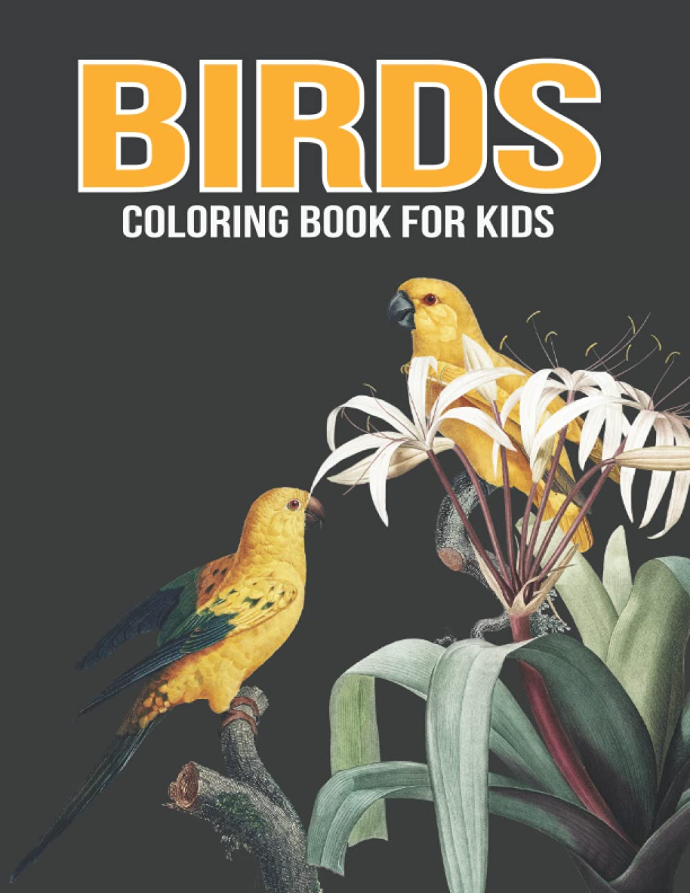 Birds Coloring Book for Kids: The Most 30 Fun and Adorable Bird ...
