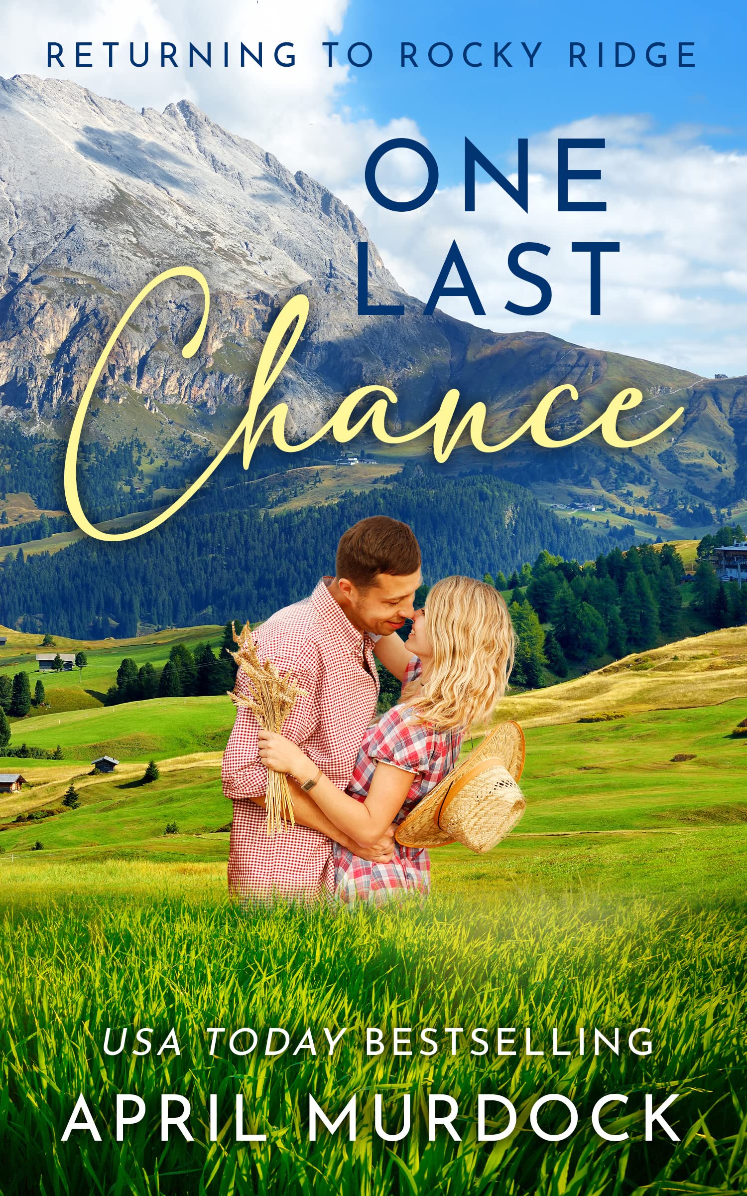 One Last Chance book cover